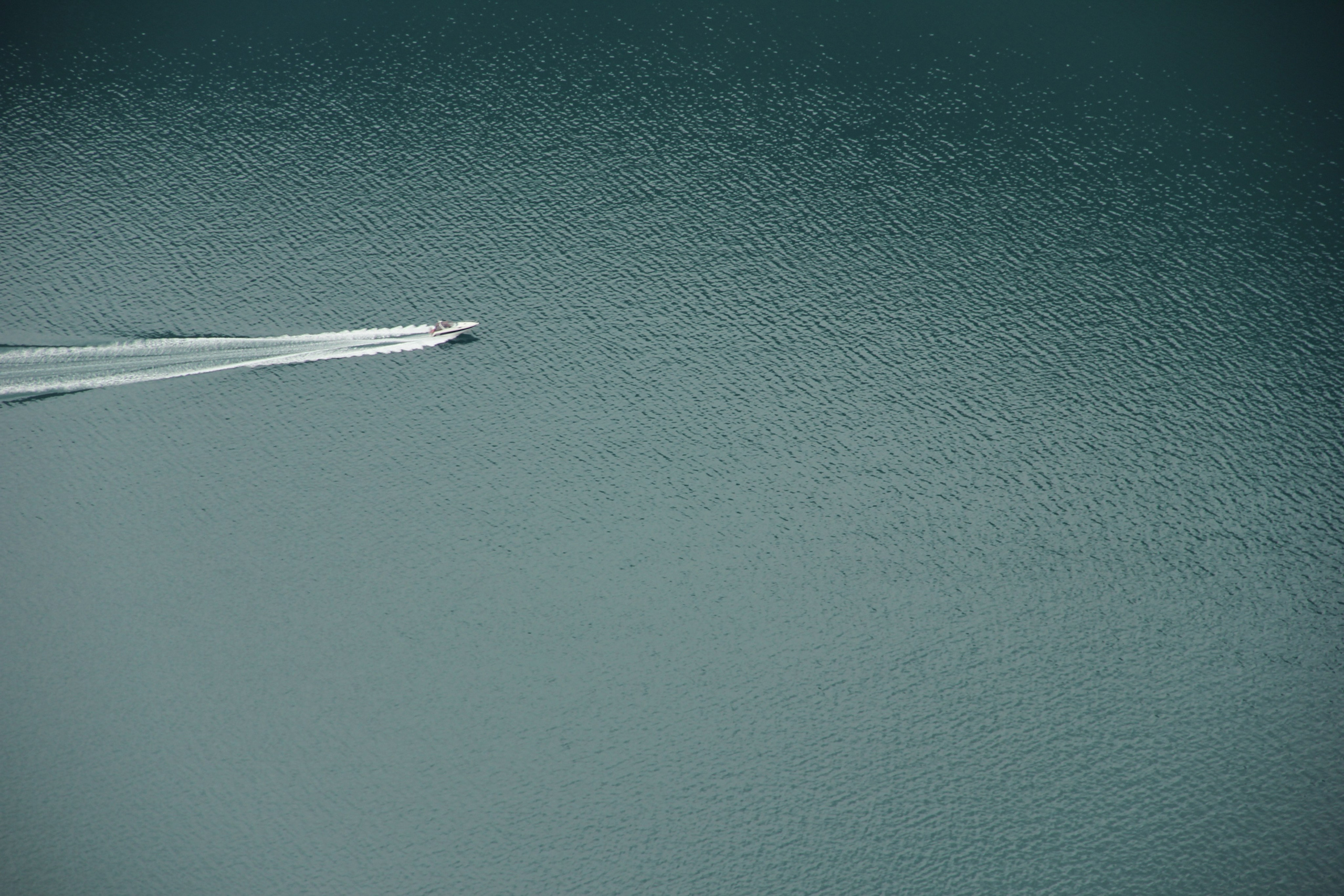 Автор: Екатерина Тимофеенко