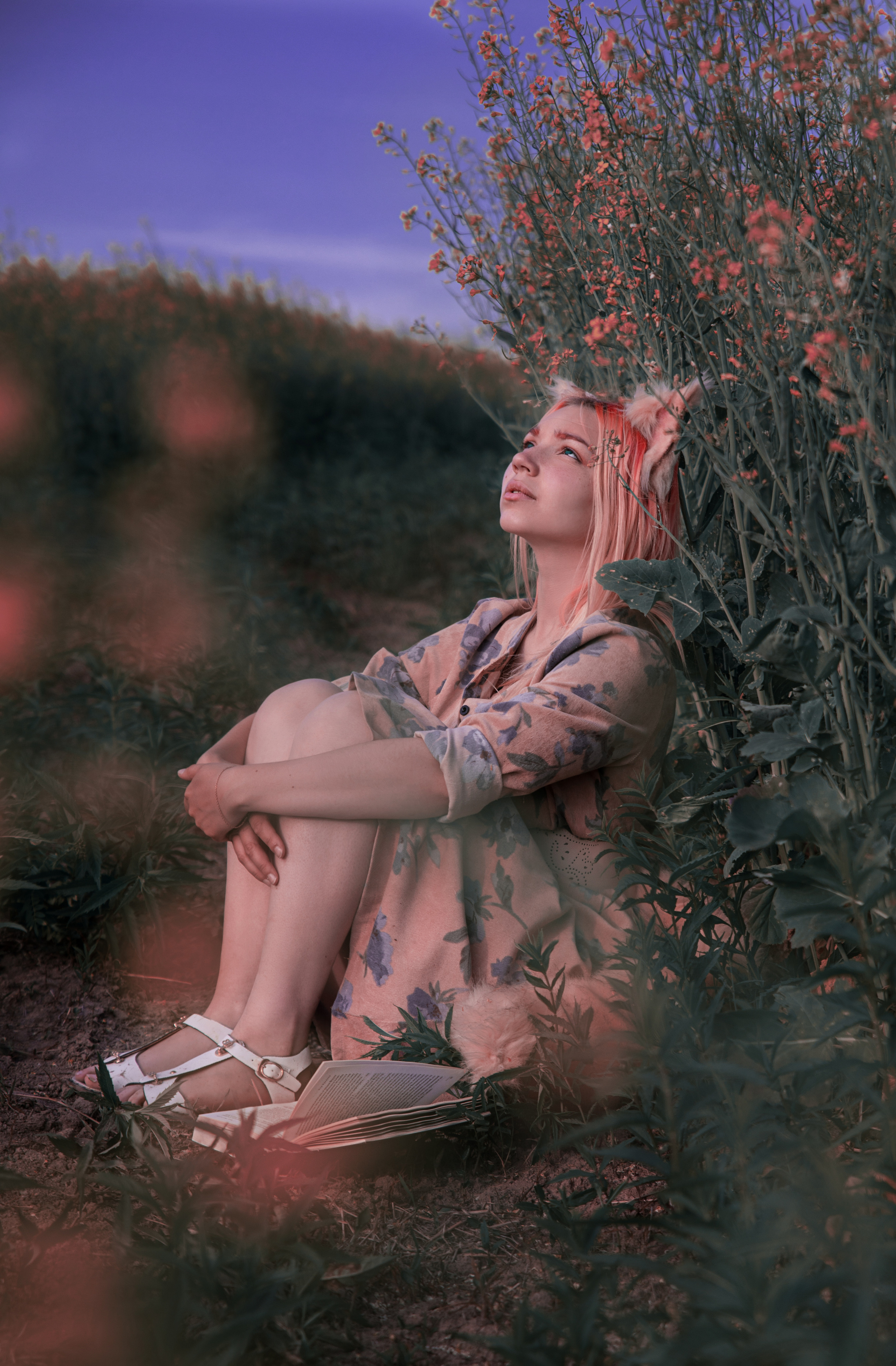 Лисица. Семейный и частный фотограф во Владивостоке