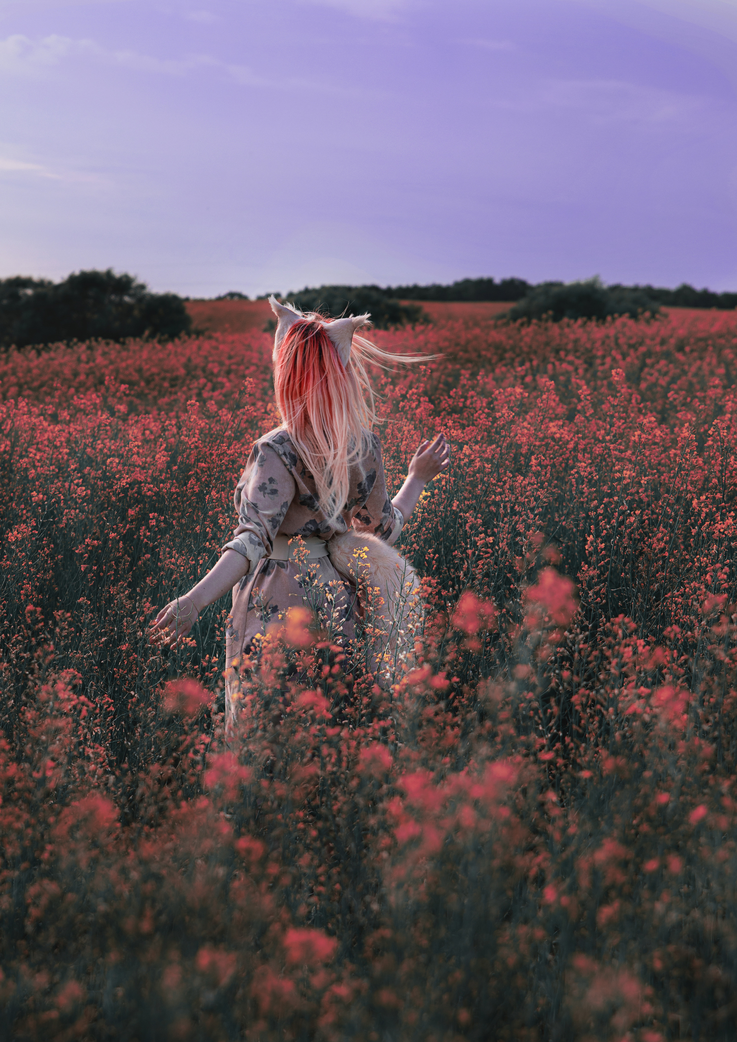 Лисица. Семейный и частный фотограф во Владивостоке