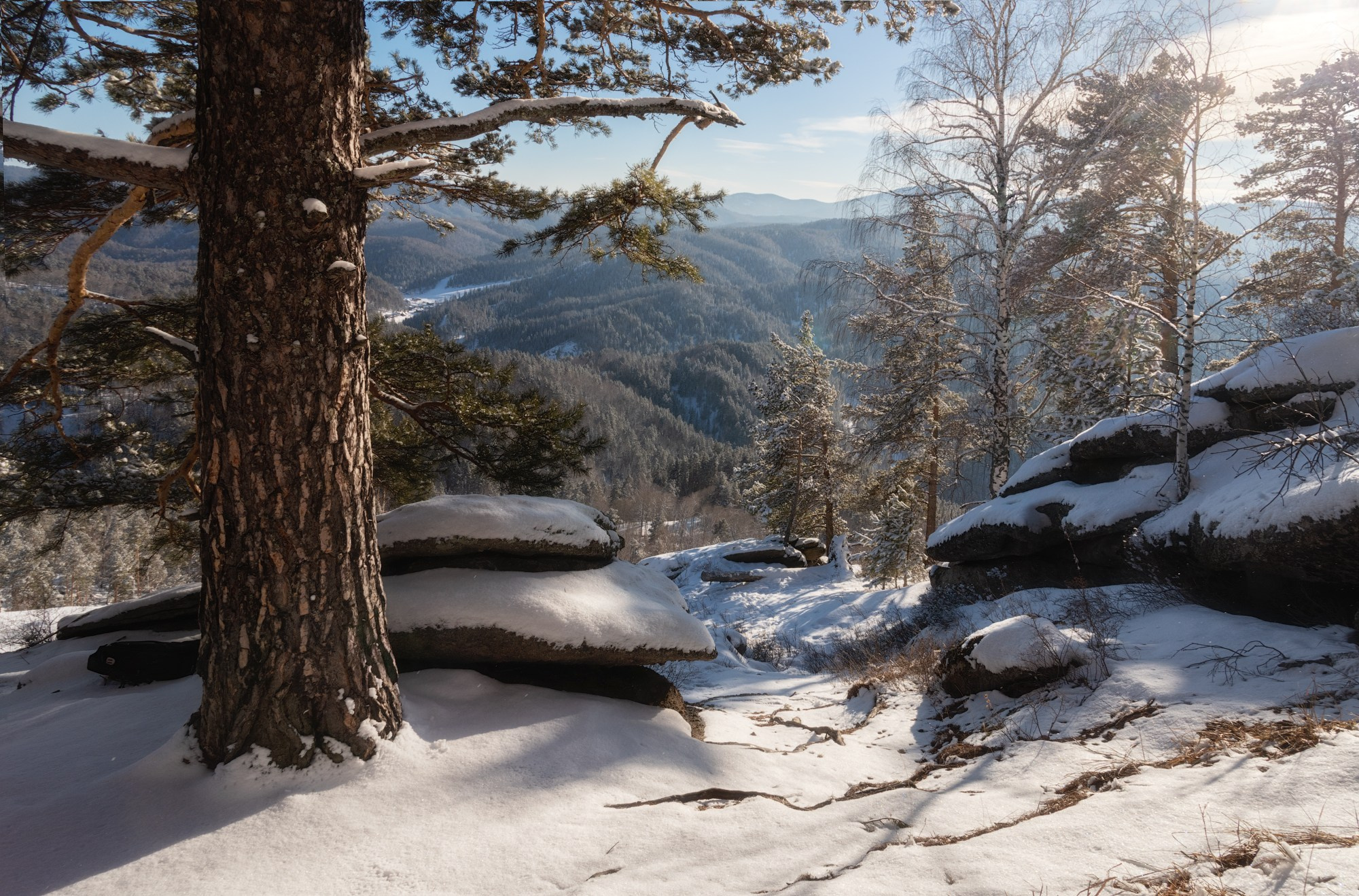 Синеет Чергинский хребет. Из серии "Зимние прогулки по Круглой". Окрестности Белокурихи, январь 2024