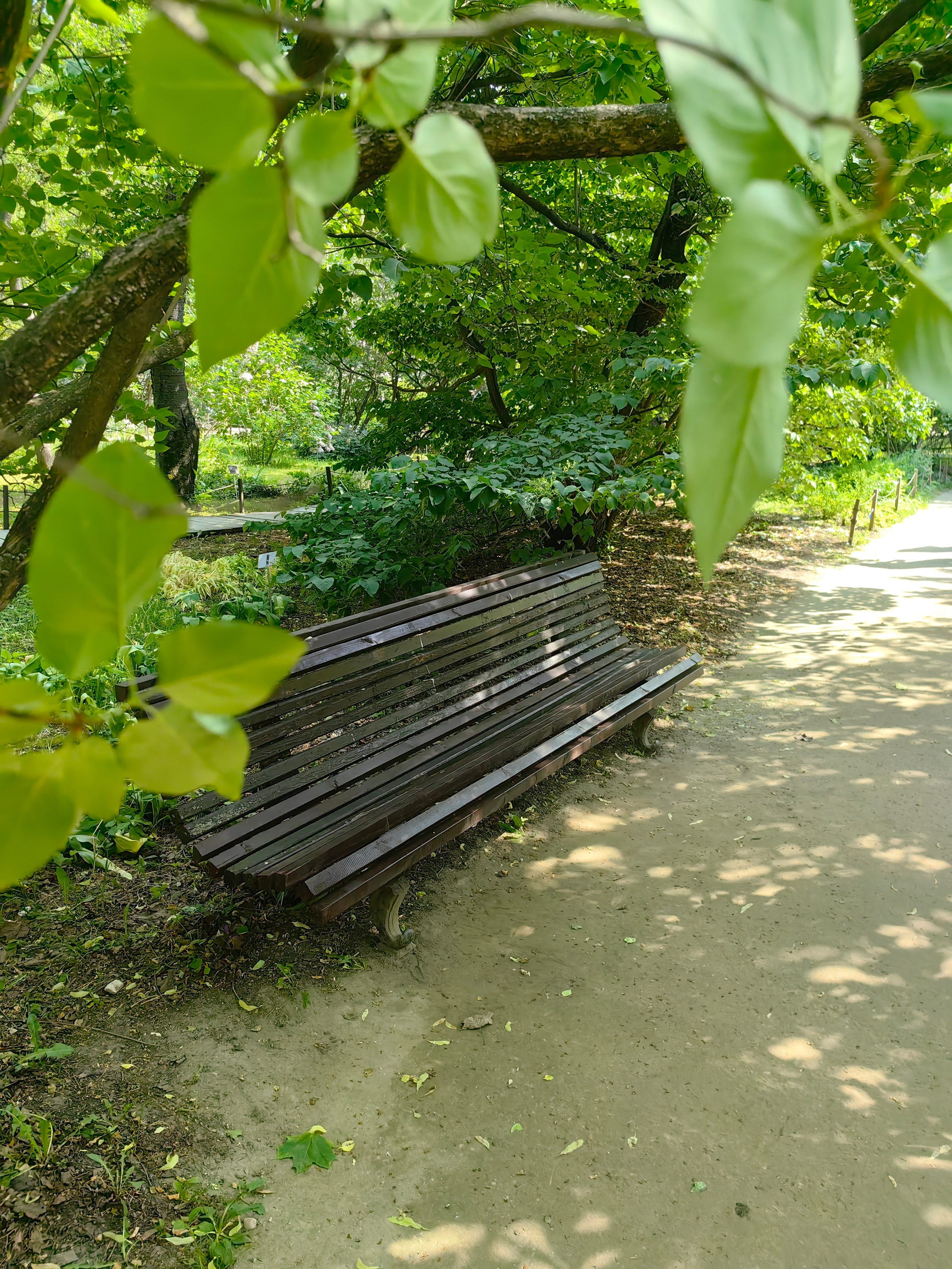 Парк АПТЕКАРСКИЙ ОГОРОД обзор. Фотограф в Москве и Московской области (Ю-В) Олеся Макарова