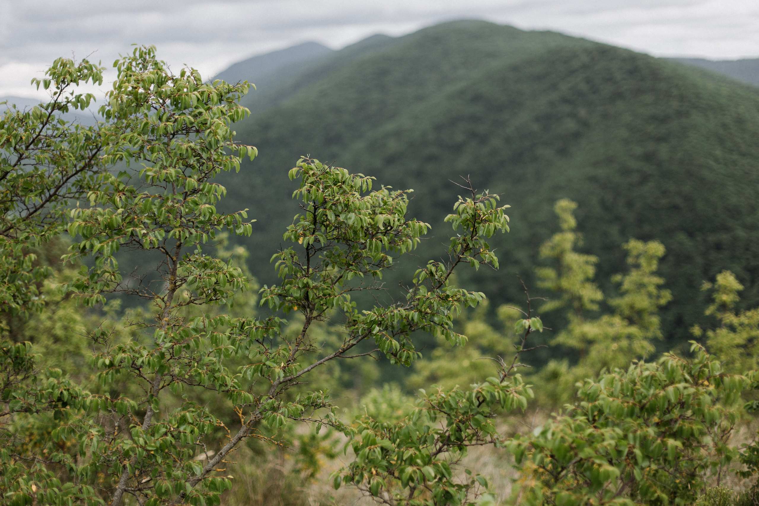 Дороги земли ветров. Портретный фотограф в Москве и Геленджике Кирилл Вахитов
