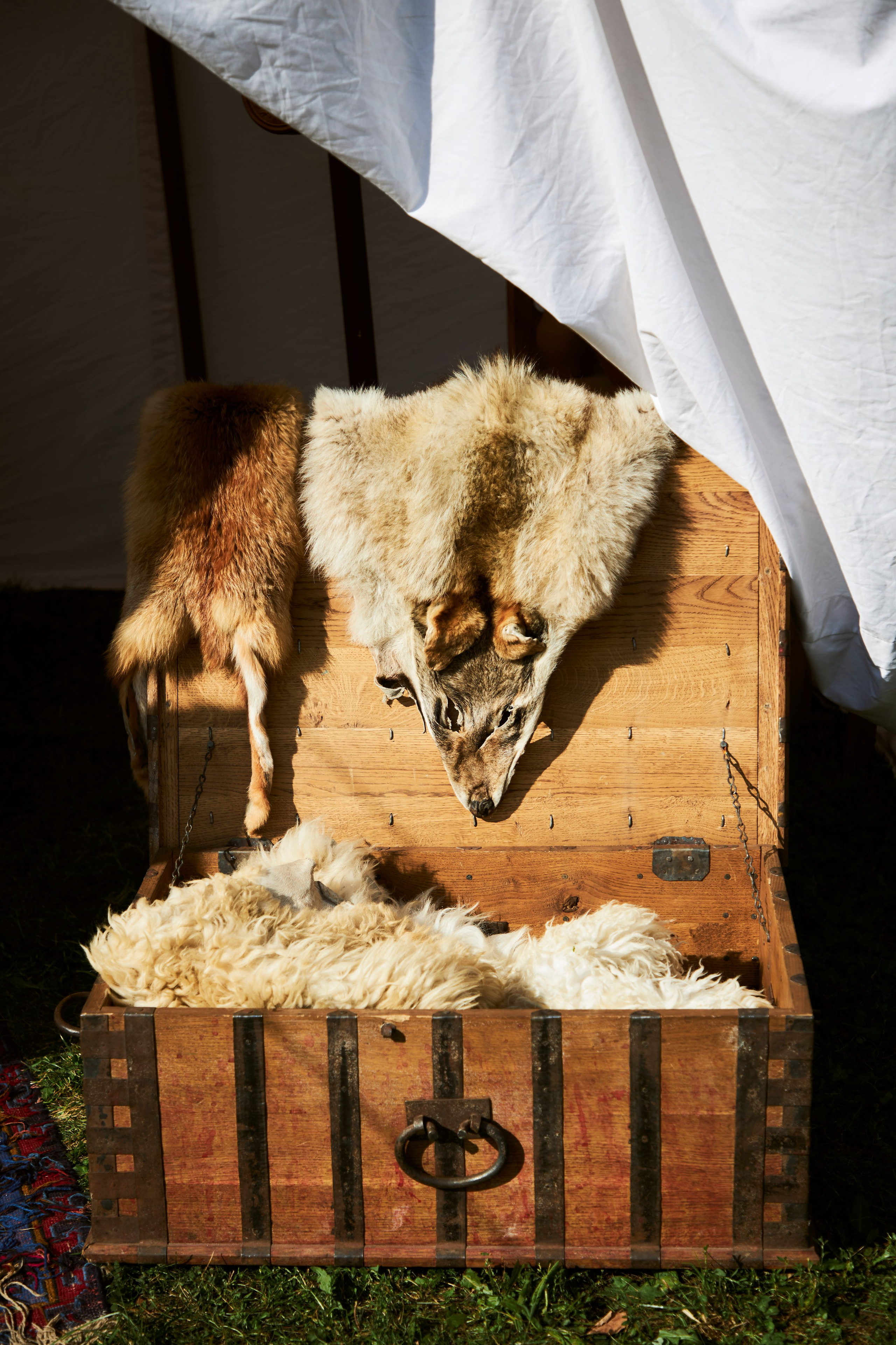 Рыцарский турнир в Москве. Анна Потявина. Фотограф Москва