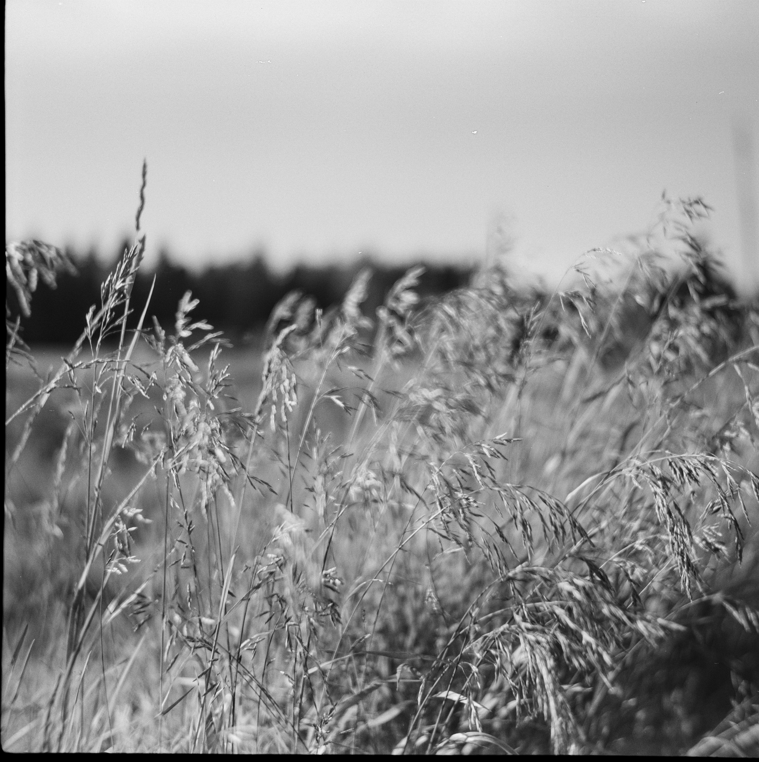 Sсhneider-Kreuznach Radionar 80mm f2.9