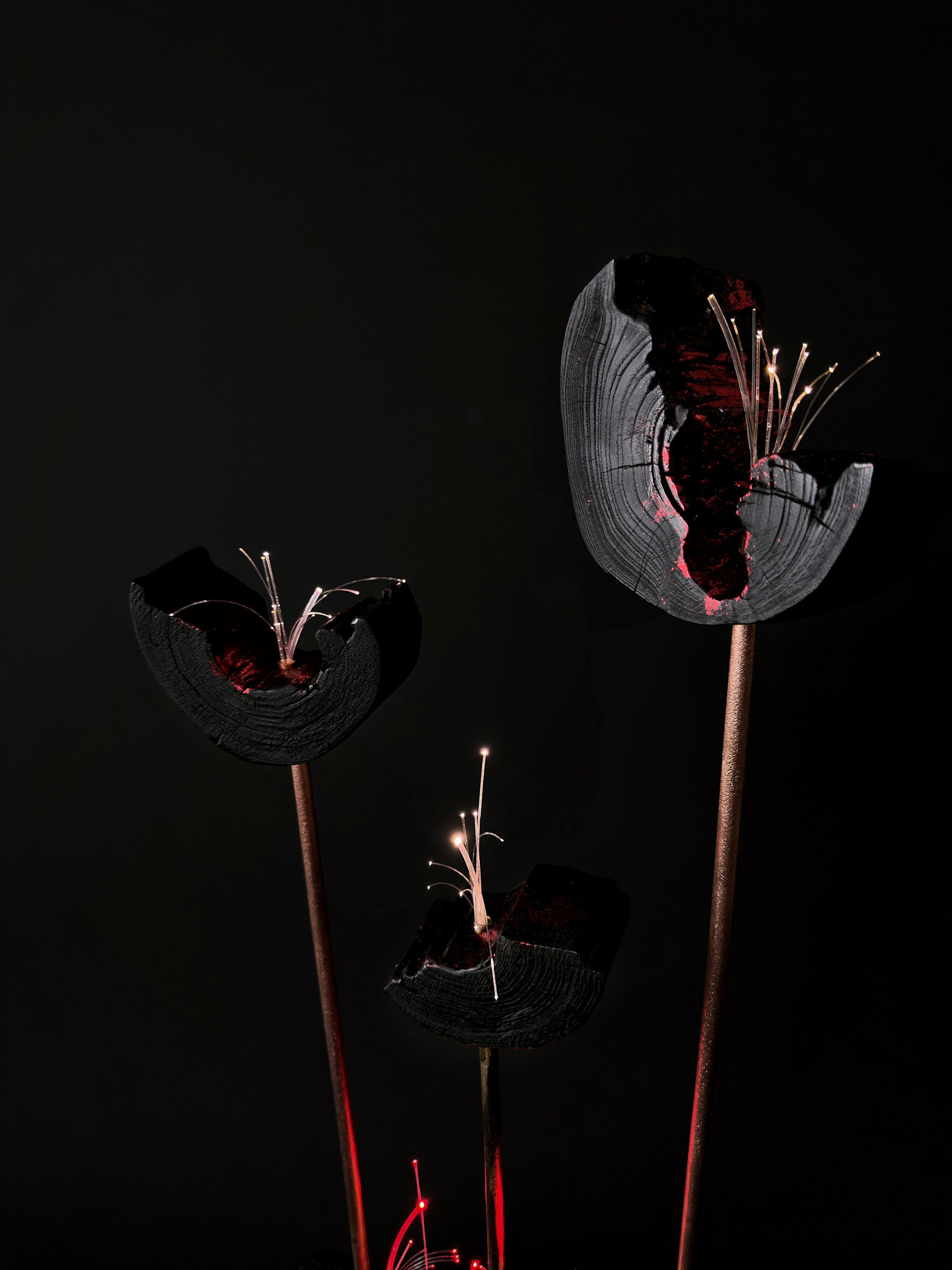 «Цветут Цветы». Арт-объекты. Коллекционный дизайн 47.XII