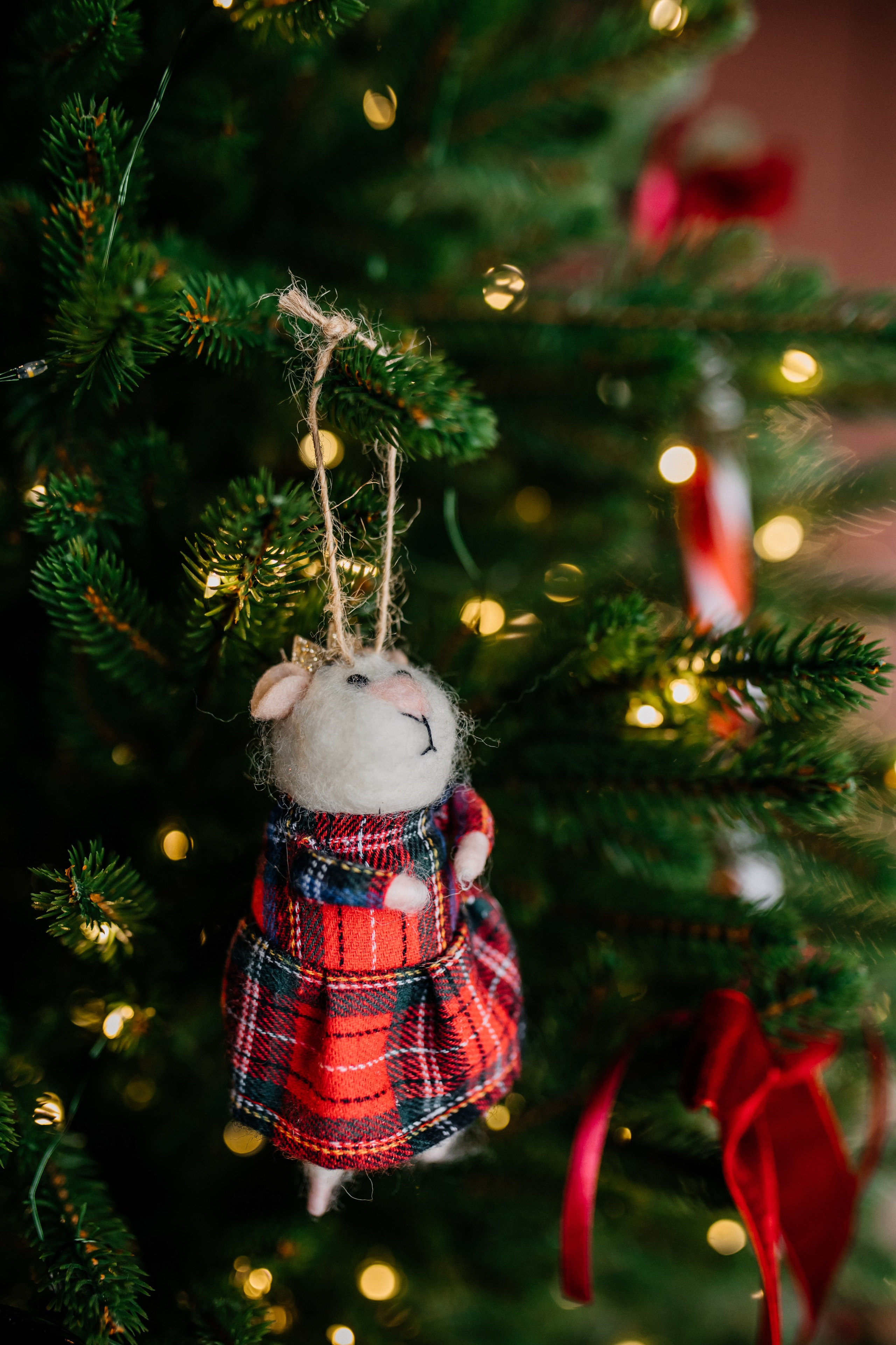 ETO Studio — фотостудия в Минске. Понравилась студия? Напишите — организую съёмку именно здесь. Фотограф в Минске Людмила Дутко