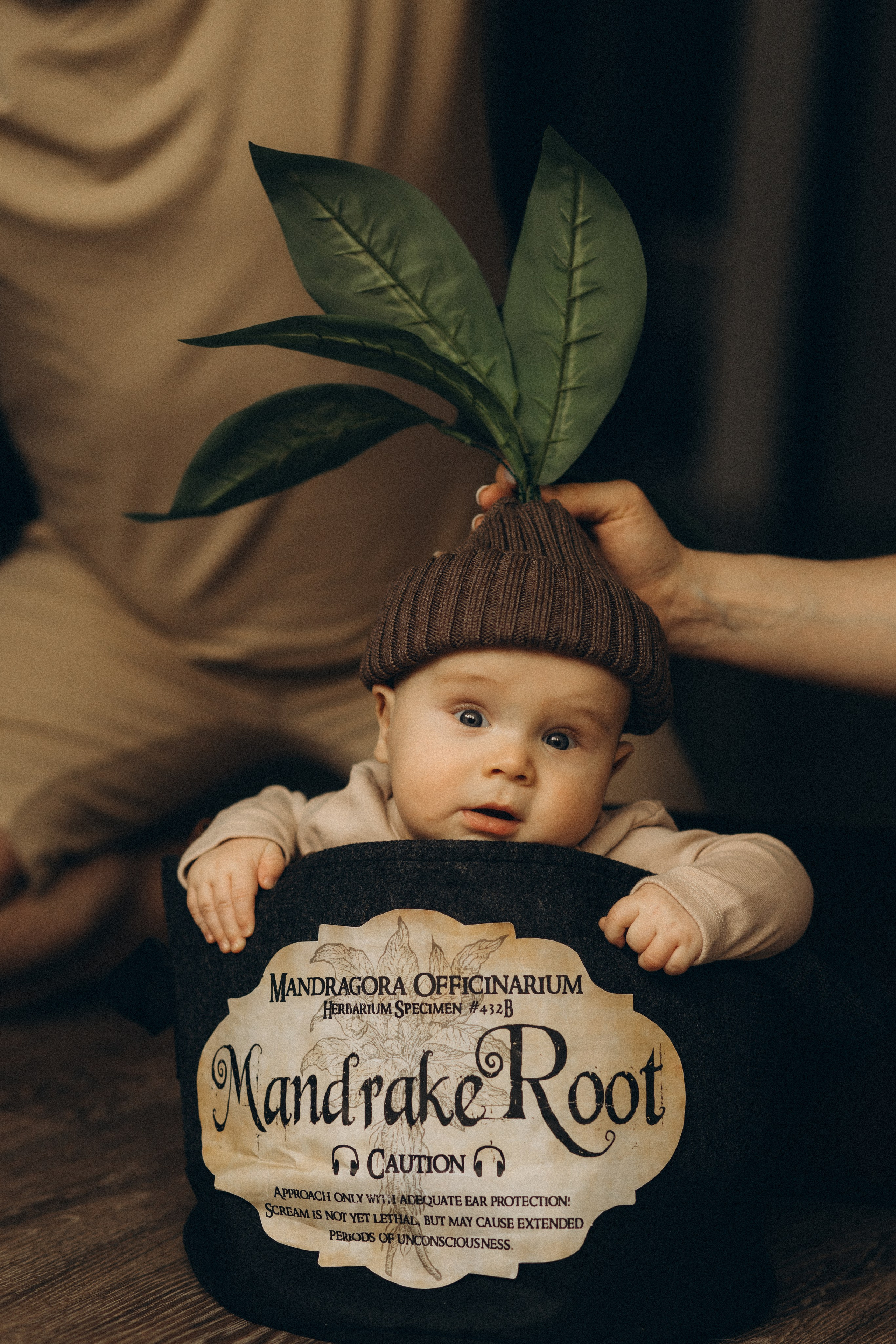 Настя, Артём и Лёва. Семейный фотограф в Люберцах Шешина Анастасия