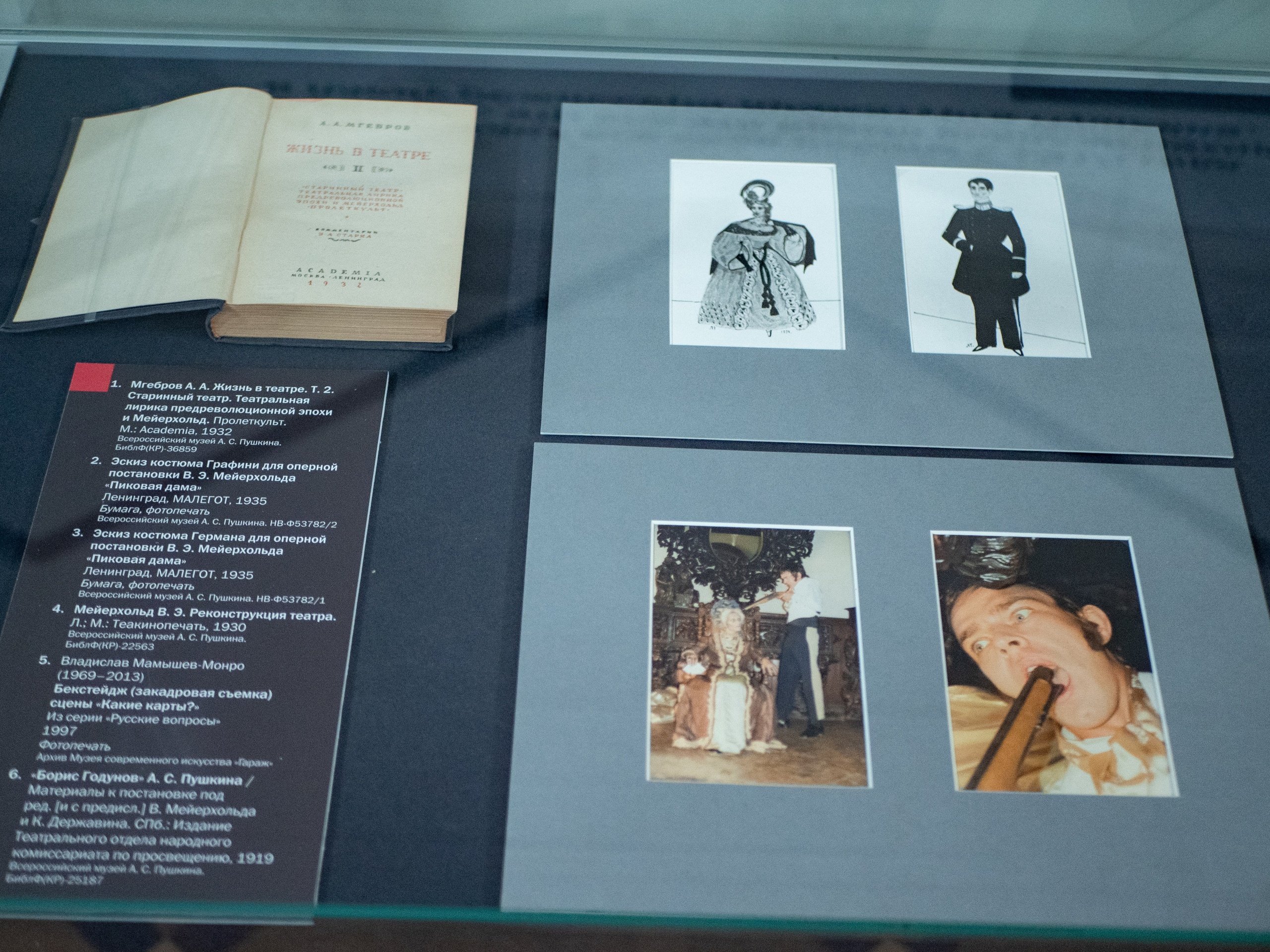 Победа над солнцем: А. С. Пушкин и русский авангард. Михаил Курганов