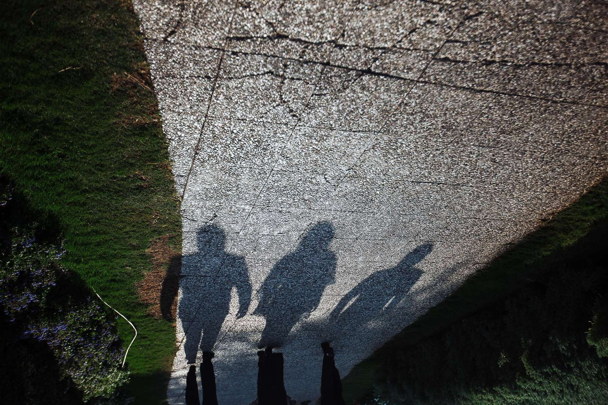 свадебный фотограф москва