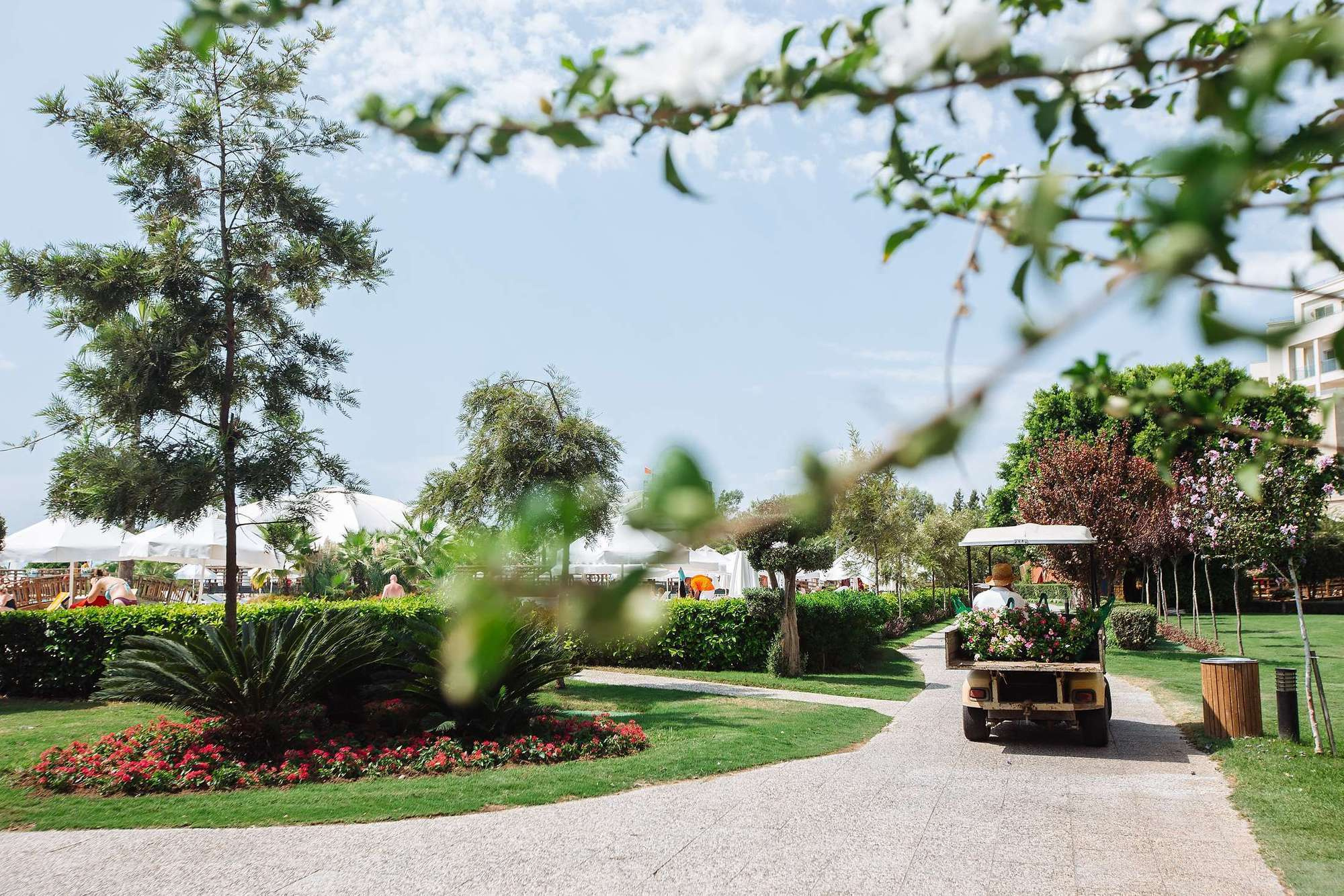 Свадебный фотограф Москва Питер Екатеринбург Антон Матвеев https://www.instagram.com/toha.matveev/