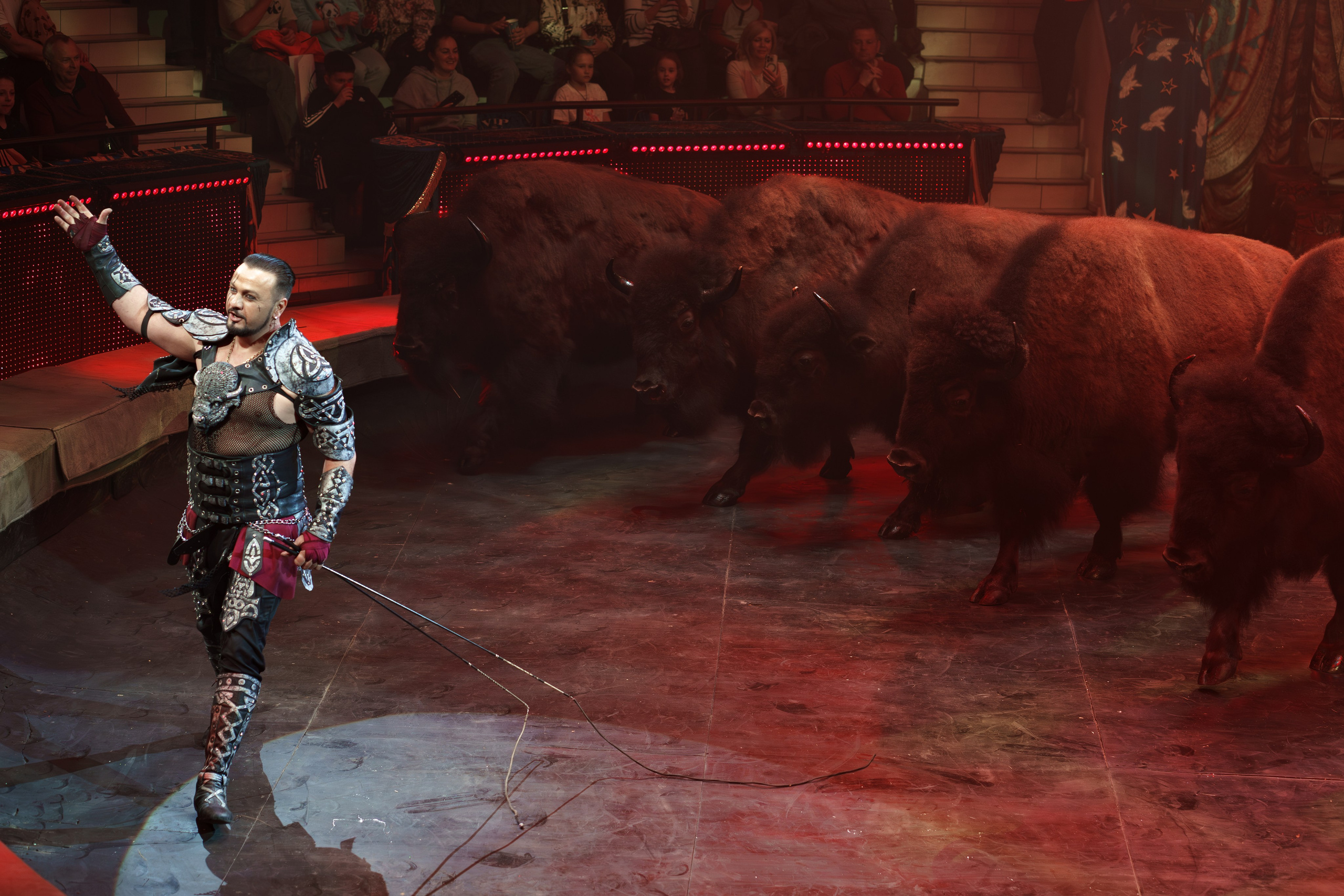 «Королевский цирк Гии Эрадзе»