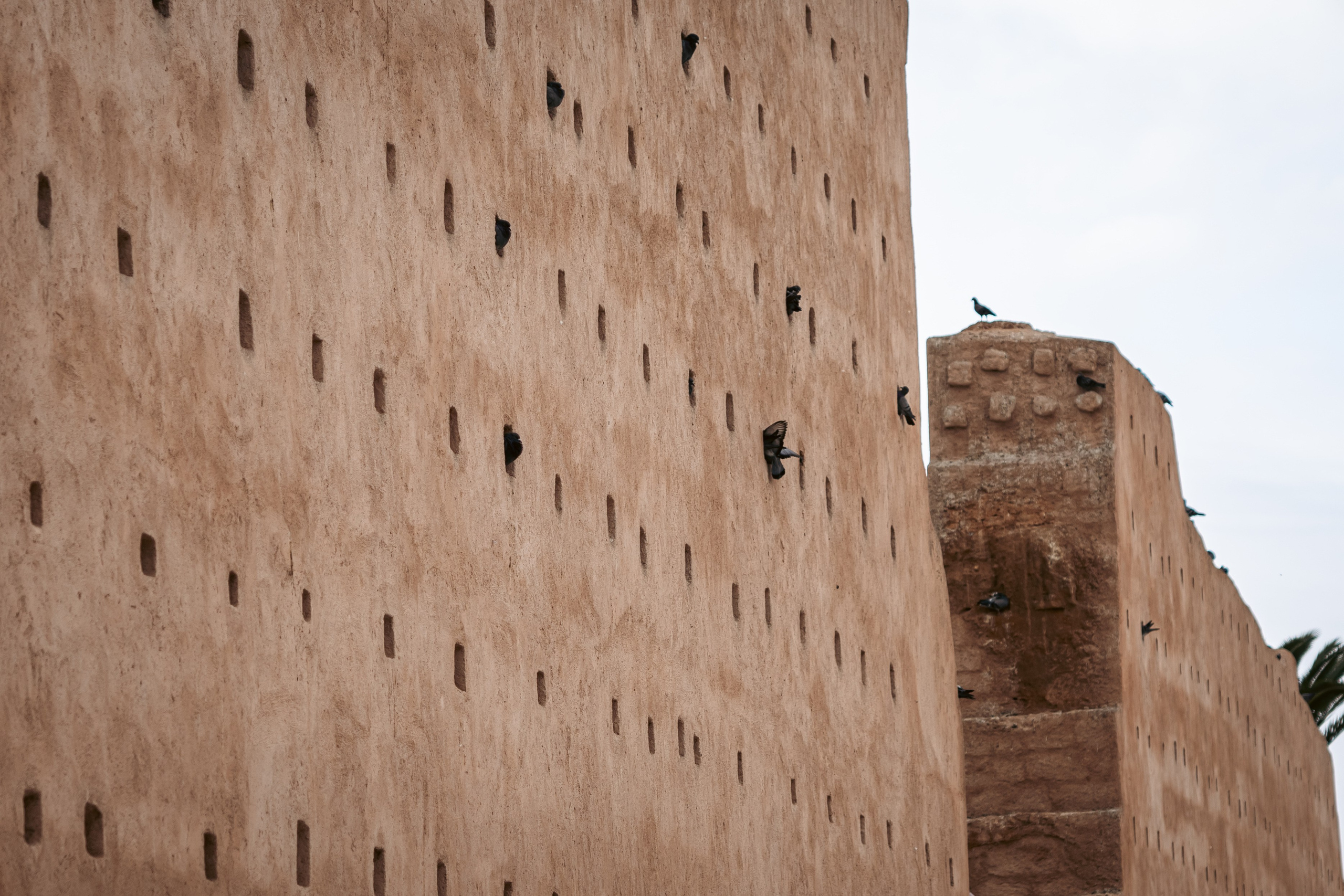 Марокко. Илья Варин — Фотограф Москва, Тверь