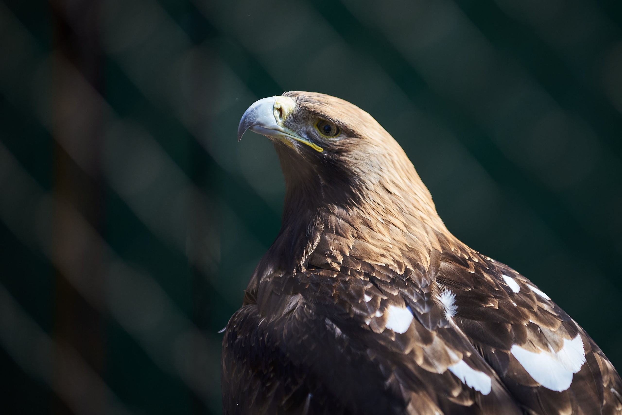 Зоопарк Иваново. Фотограф в Иваново: Каталожная съемка одежды и постельного белья, Wildberries