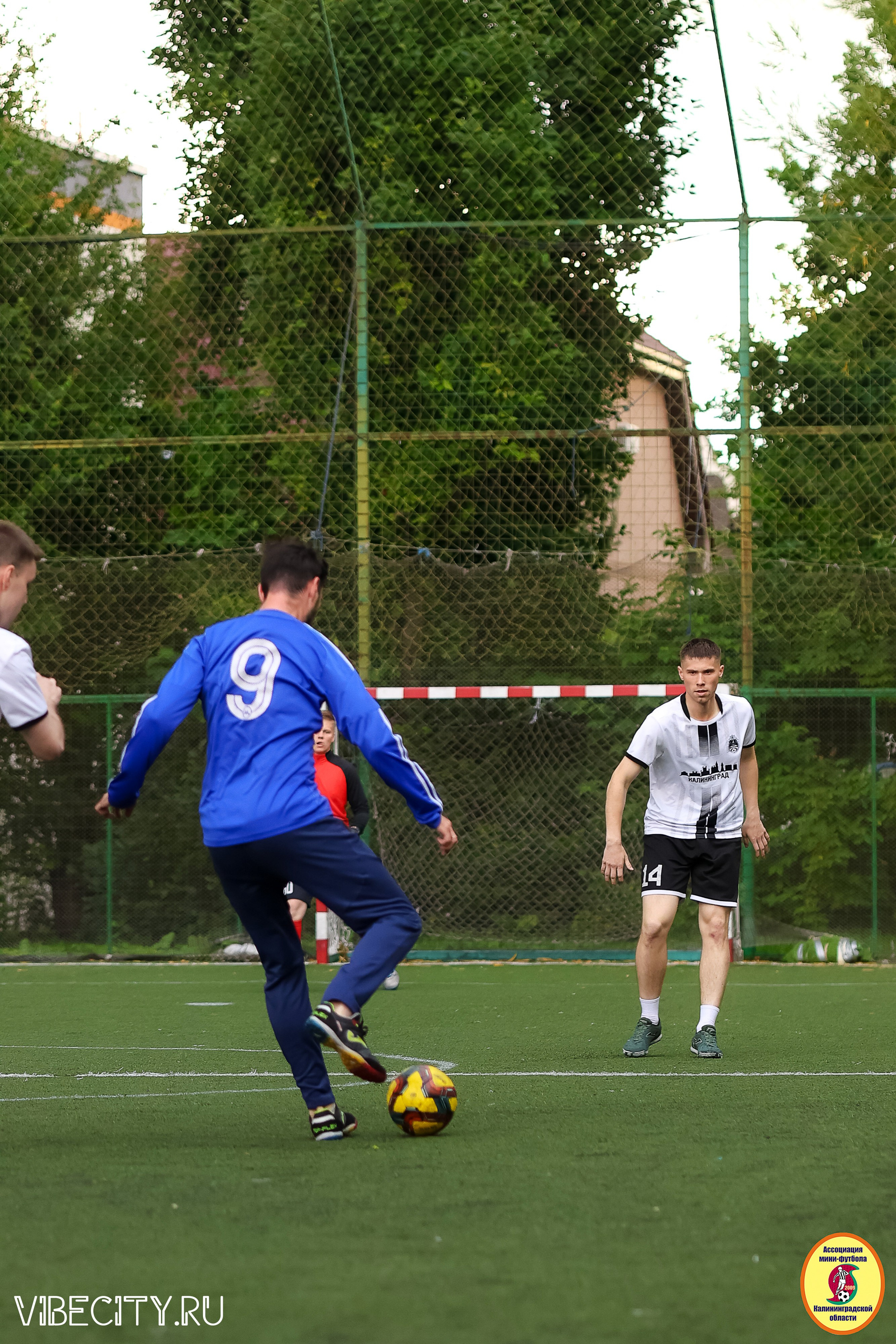 ИГРЫ МИНИ-ФУТБОЛЬНОЙ И КОРПОРАТИВНОЙ ЛИГИ. VIBECITY.RU Вайб Сити Ру Фоторепортажи Фотоотчеты Калининград