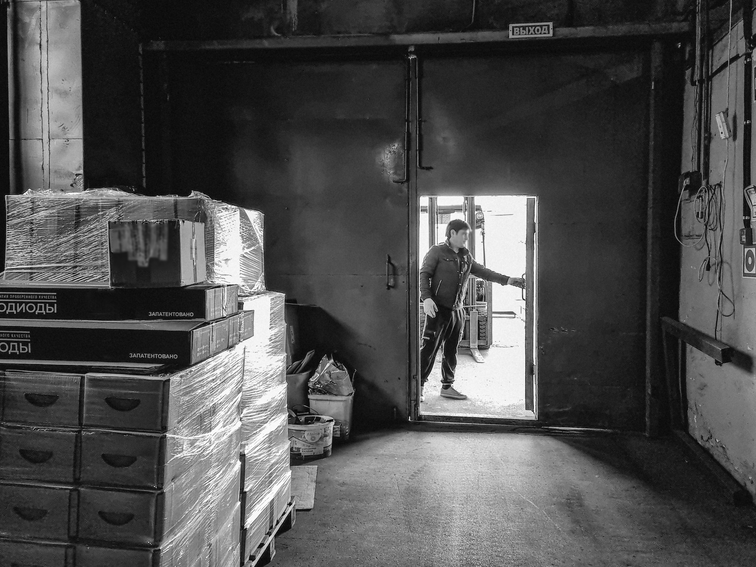 ЭМИГРАНТ. Ангелина Богданова, междисциплинарная художница