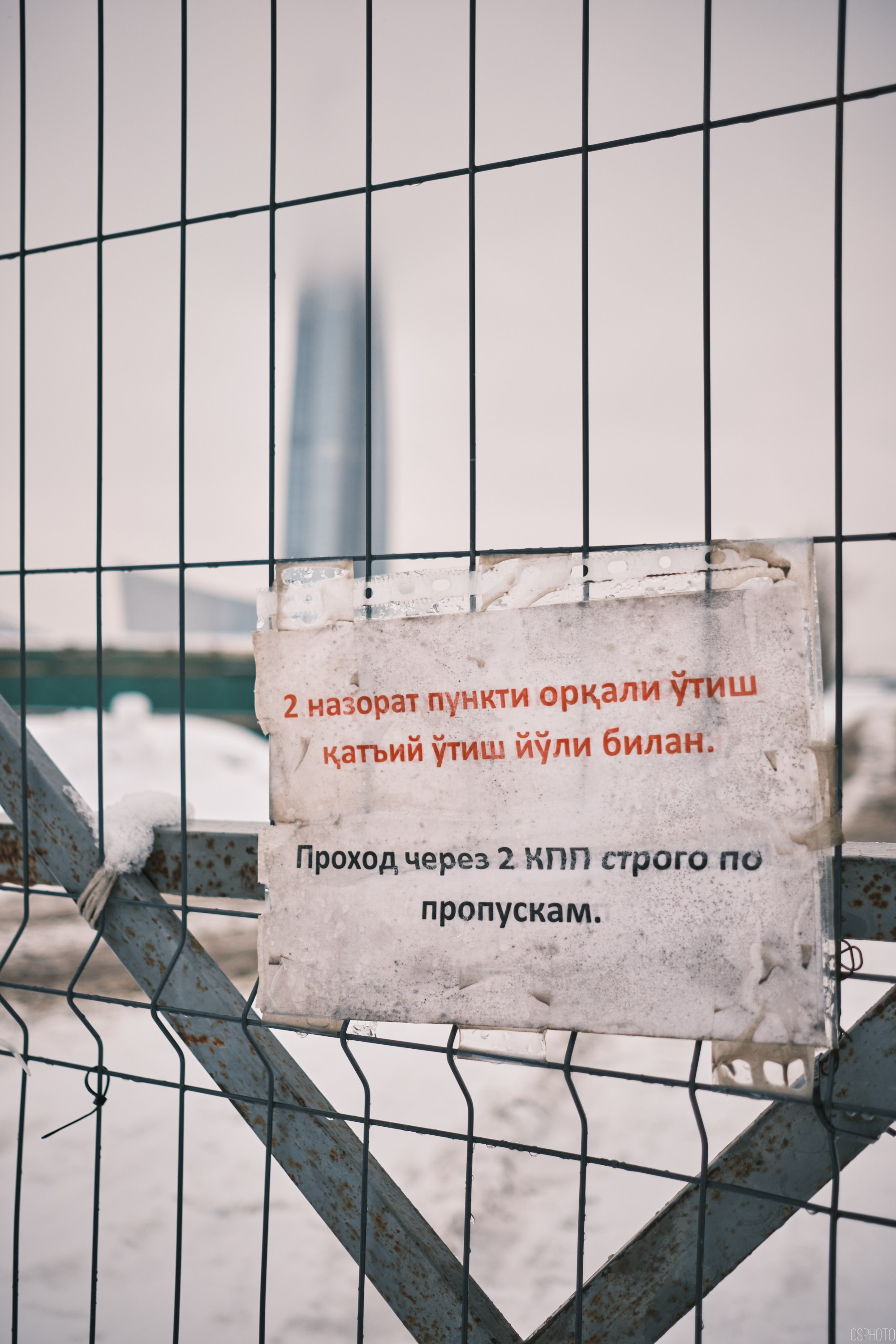 Снег и туман в Санкт-Петербурге. Фотографъ Сергѣевъ. Поймать мгновеніе