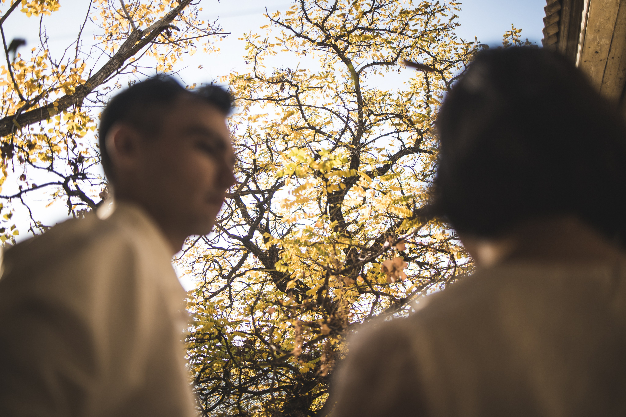 Свадебные фотосессии