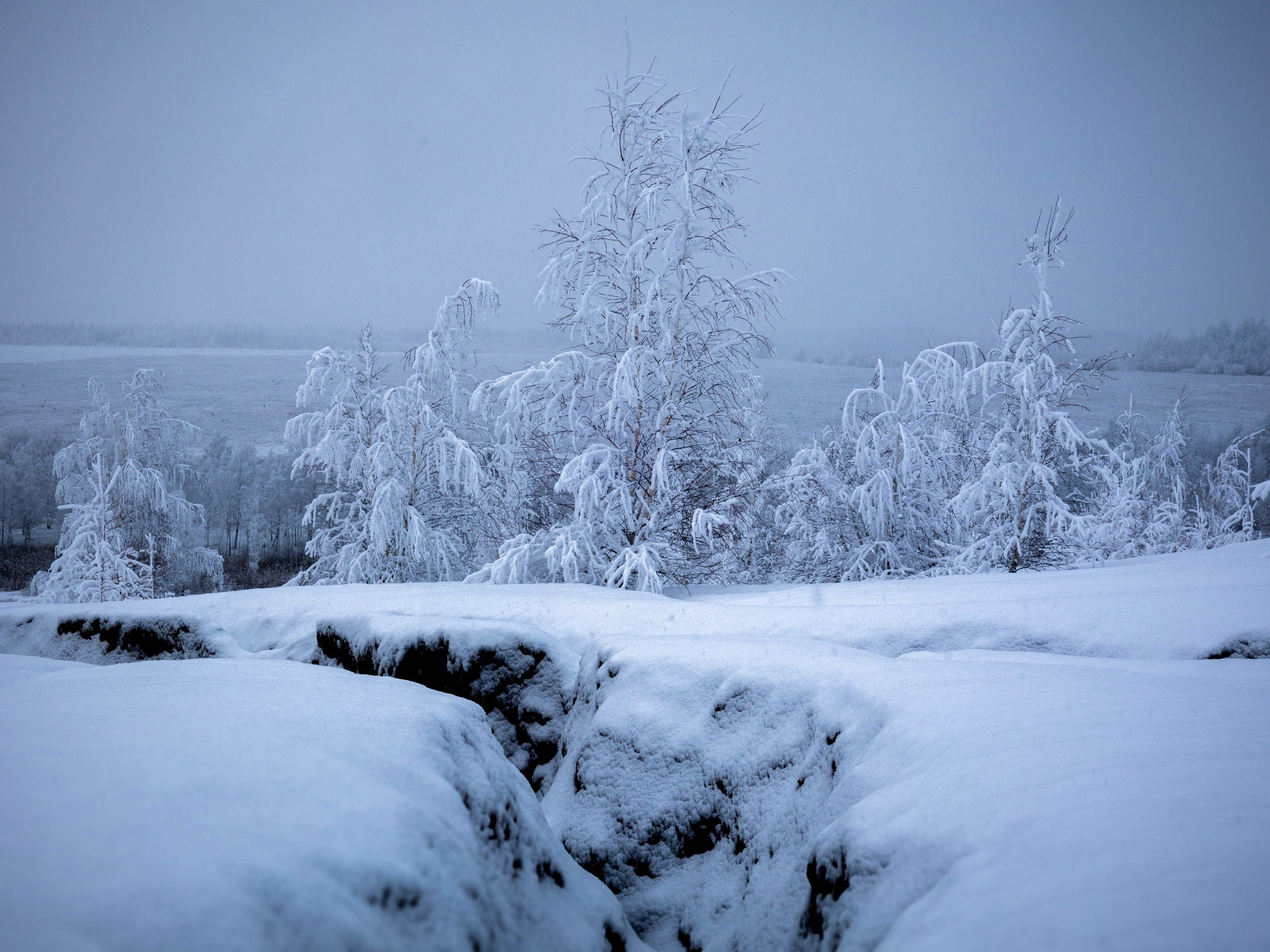 Зимние Кондуки. Пейзажная и архитектурная фотография в Туле, Татьяна Silva