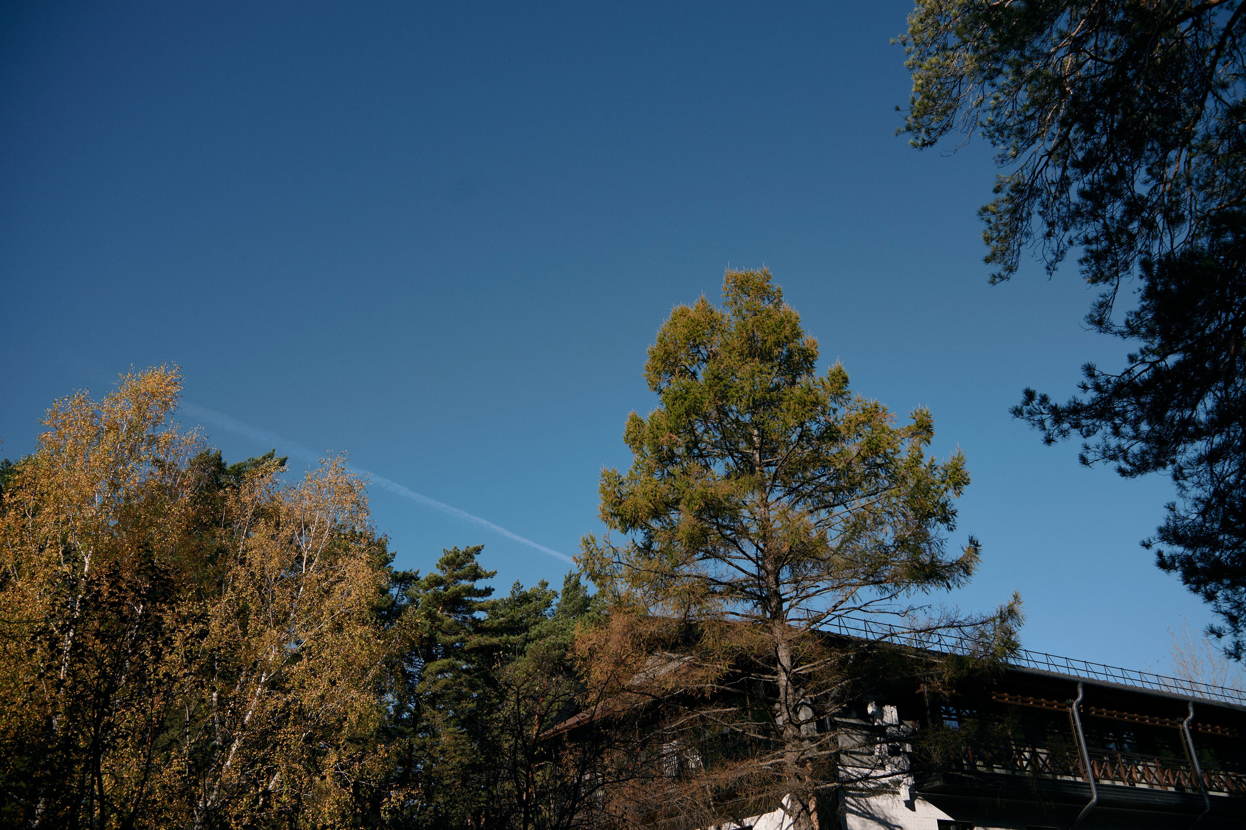 Свадьба Алексея и Екатерины. Сергей Богомолов. Свадебный и семейный фотограф