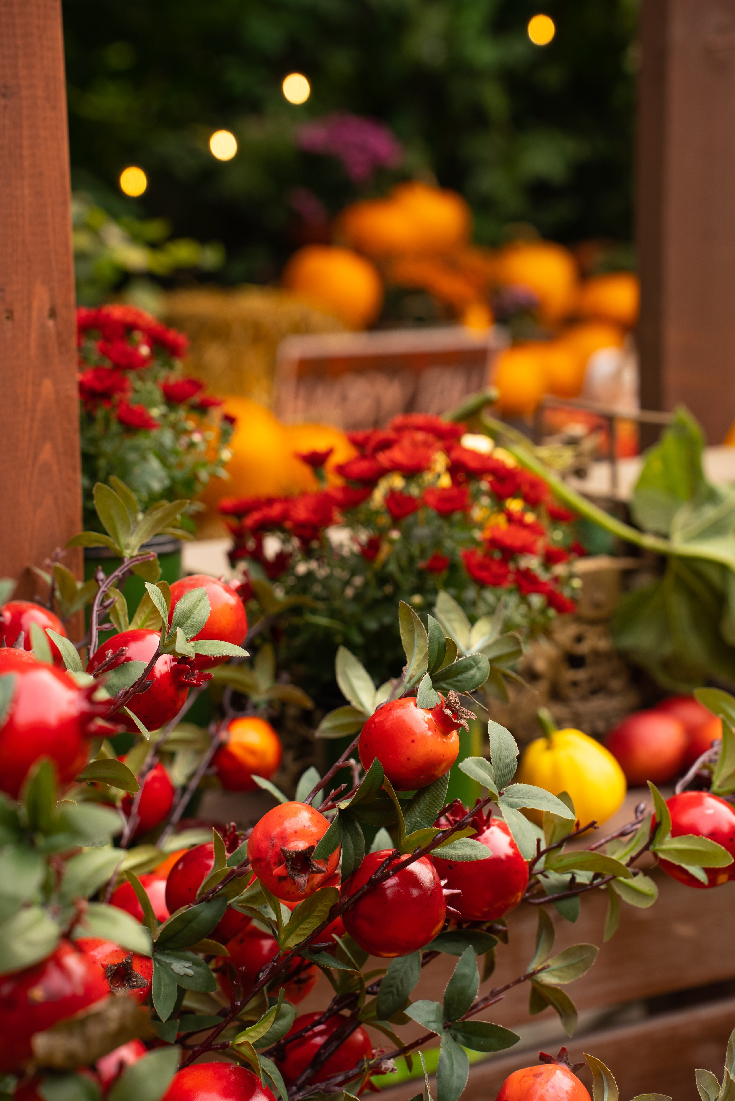 Реклама локации «РАНЧО» в YOOFOTOSKAZKA 📸+🎬. Видеограф / Фотограф  — Яна Спащанская