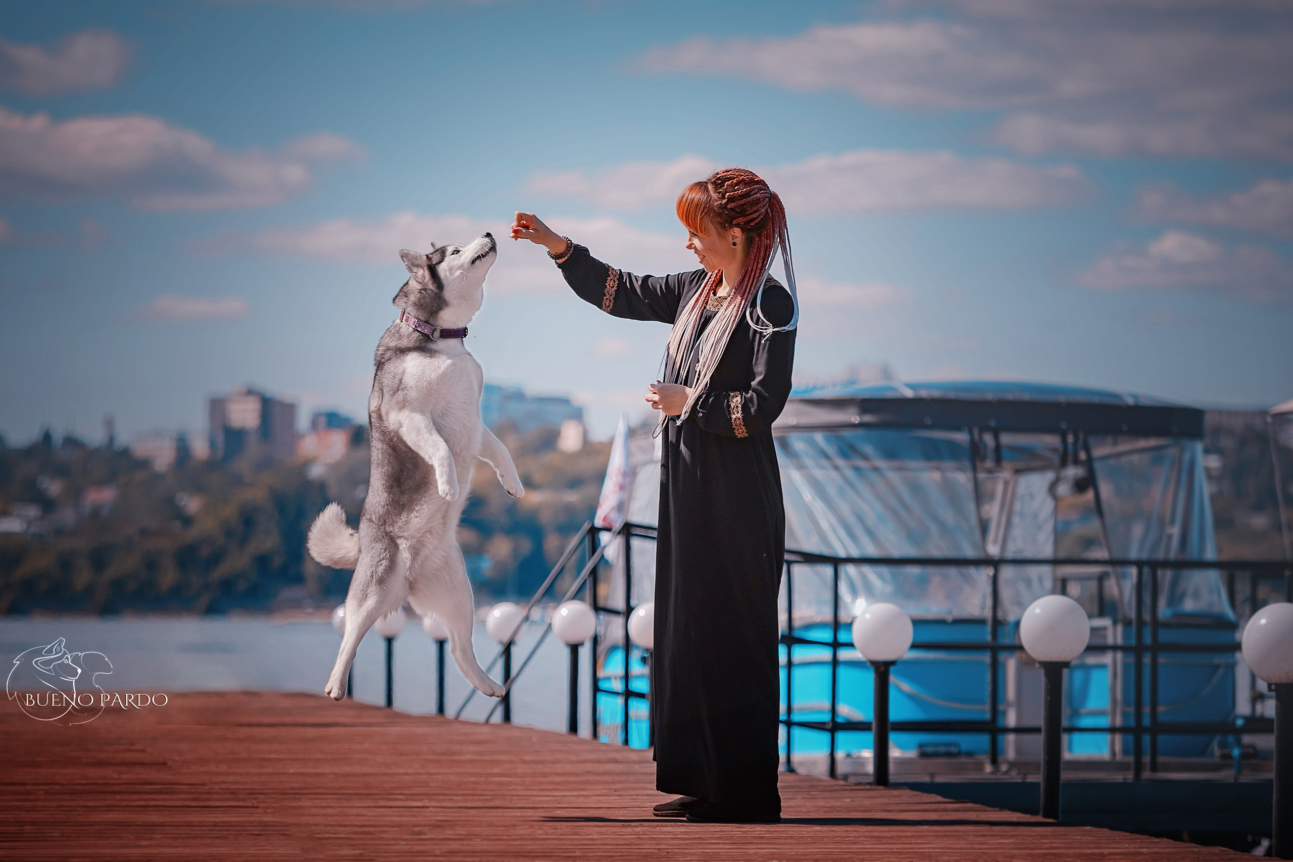 Собаки питомника Bueno Pardo. Питомник собак Акита, Хаски, Корги