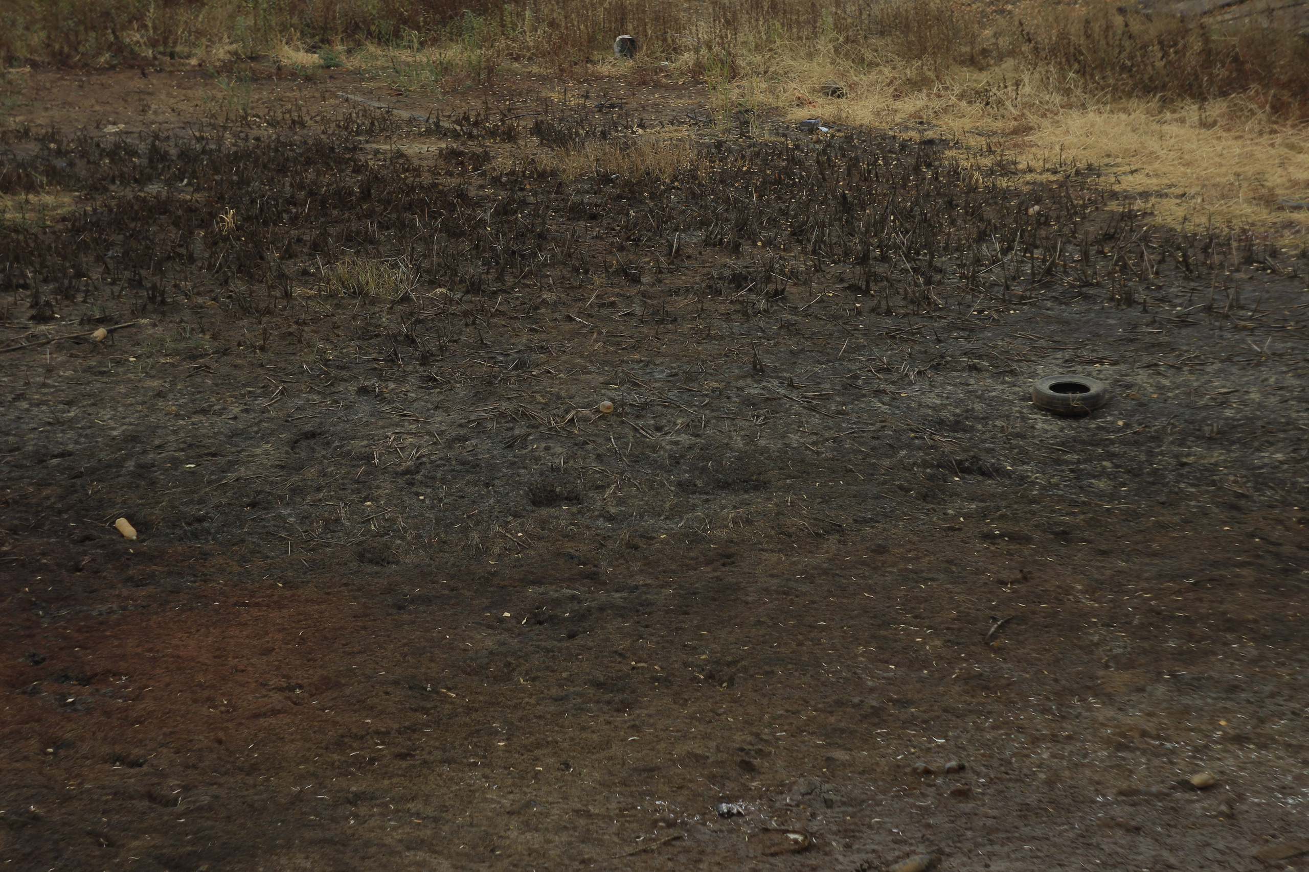 Разбойщина, Саратов, студенческая архитектурная мастерская Евгения Спирина и САСК. Фотокрыжовник. Снимаем, дружим, путешествуем