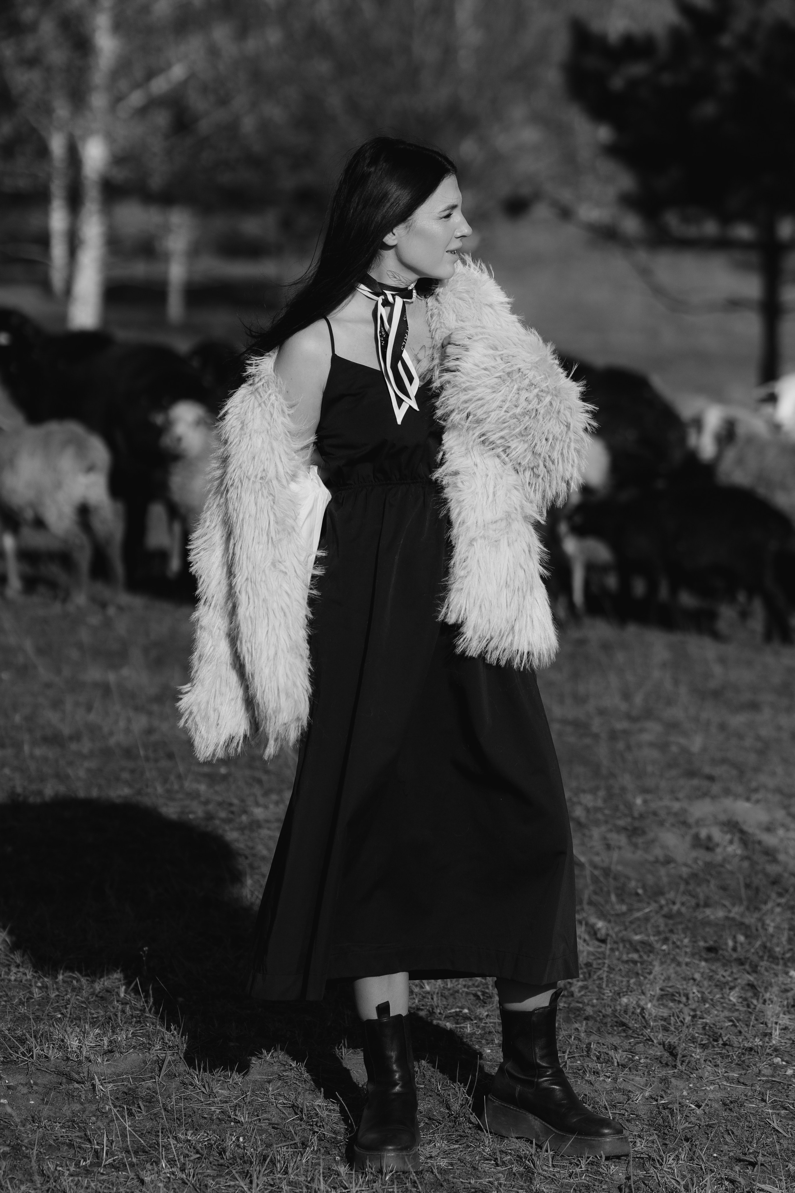 Охота на овец