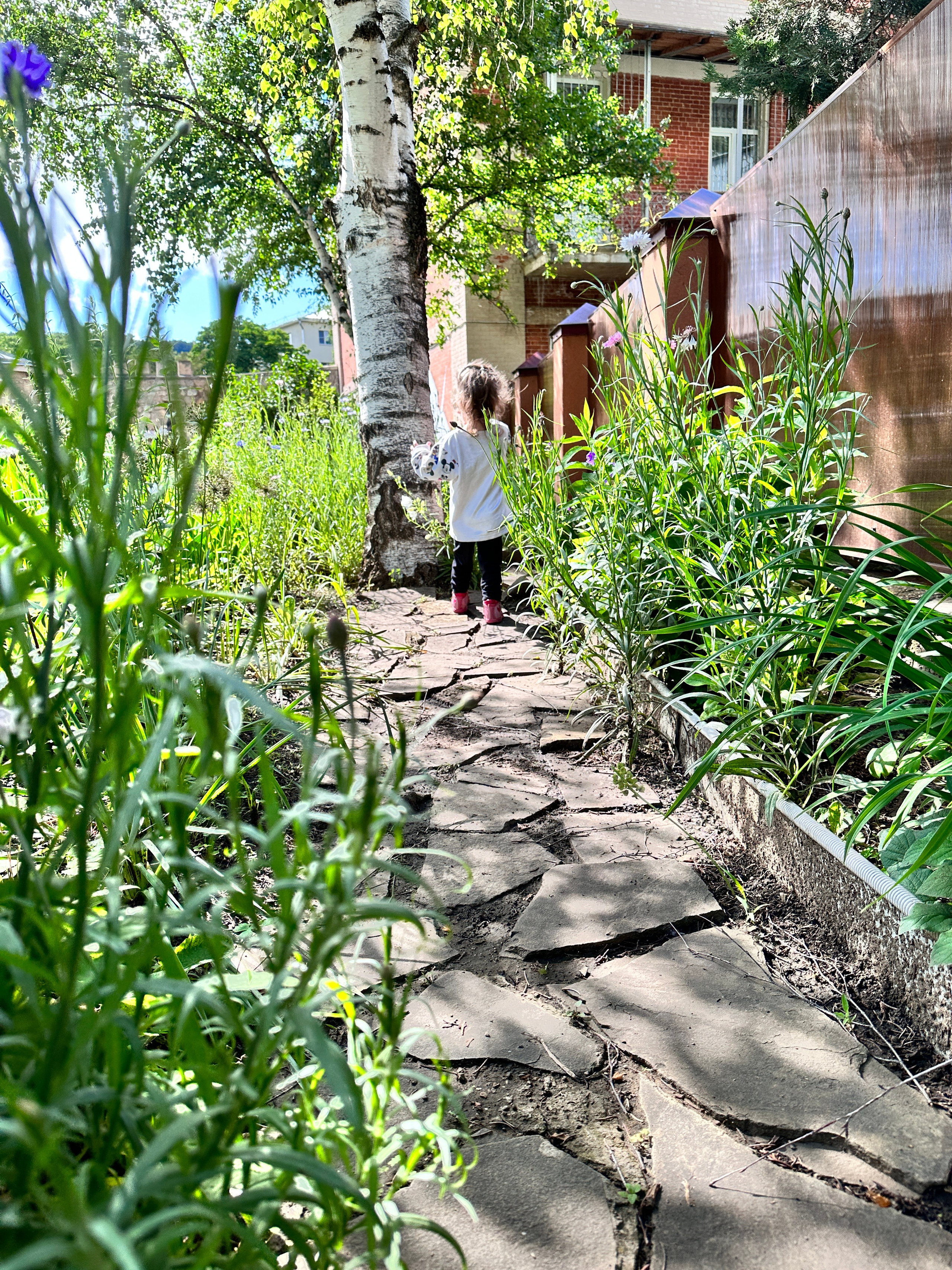 Кисловодск. Смотри, красота!