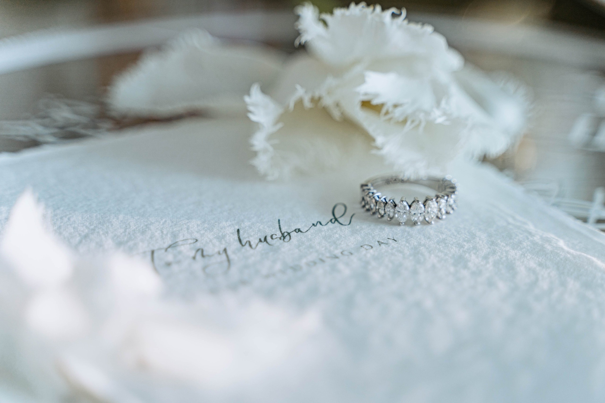 Wedding photographer in Abu Dhabi