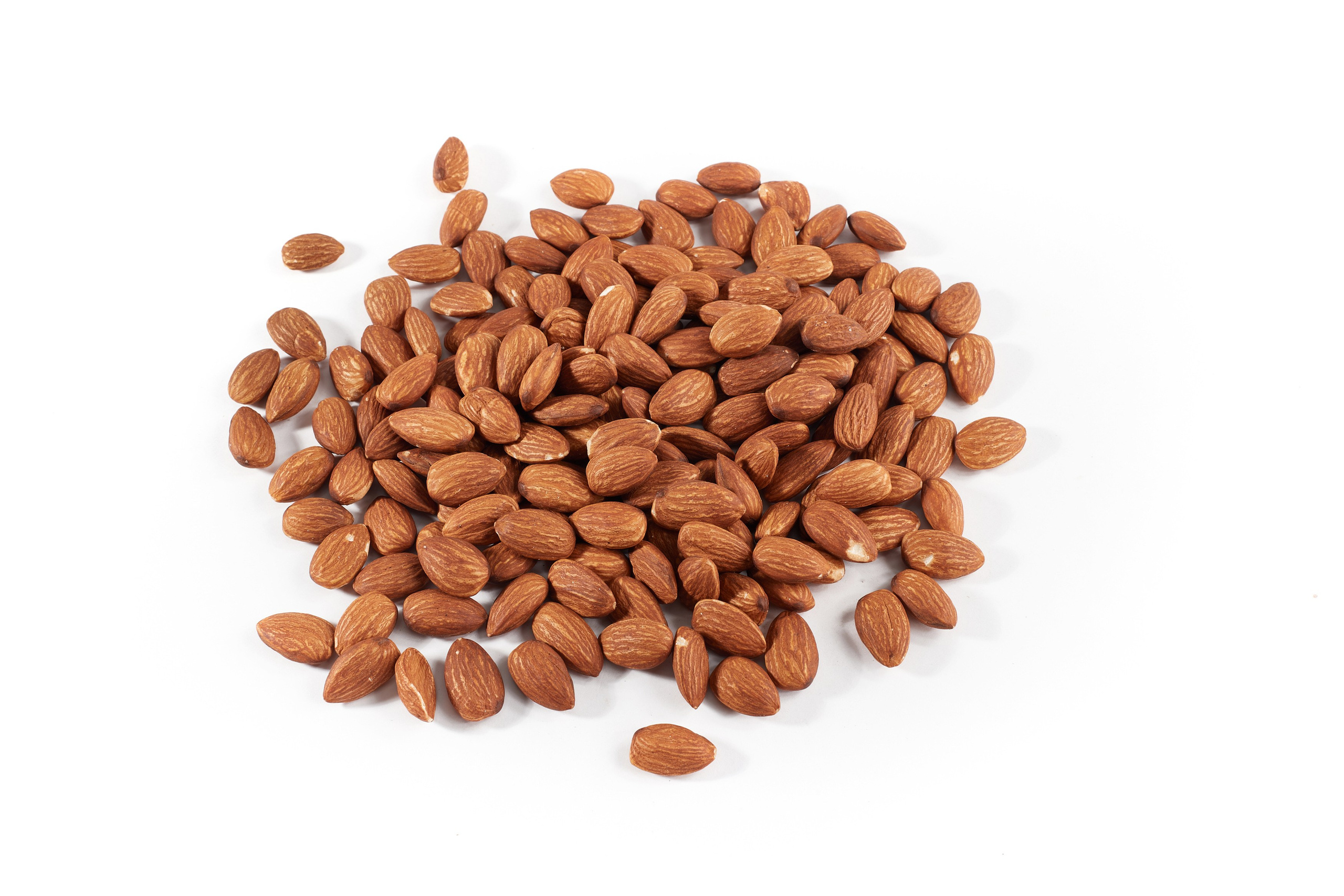 Nut4Life. Фотограф Сергей Бойко Москва