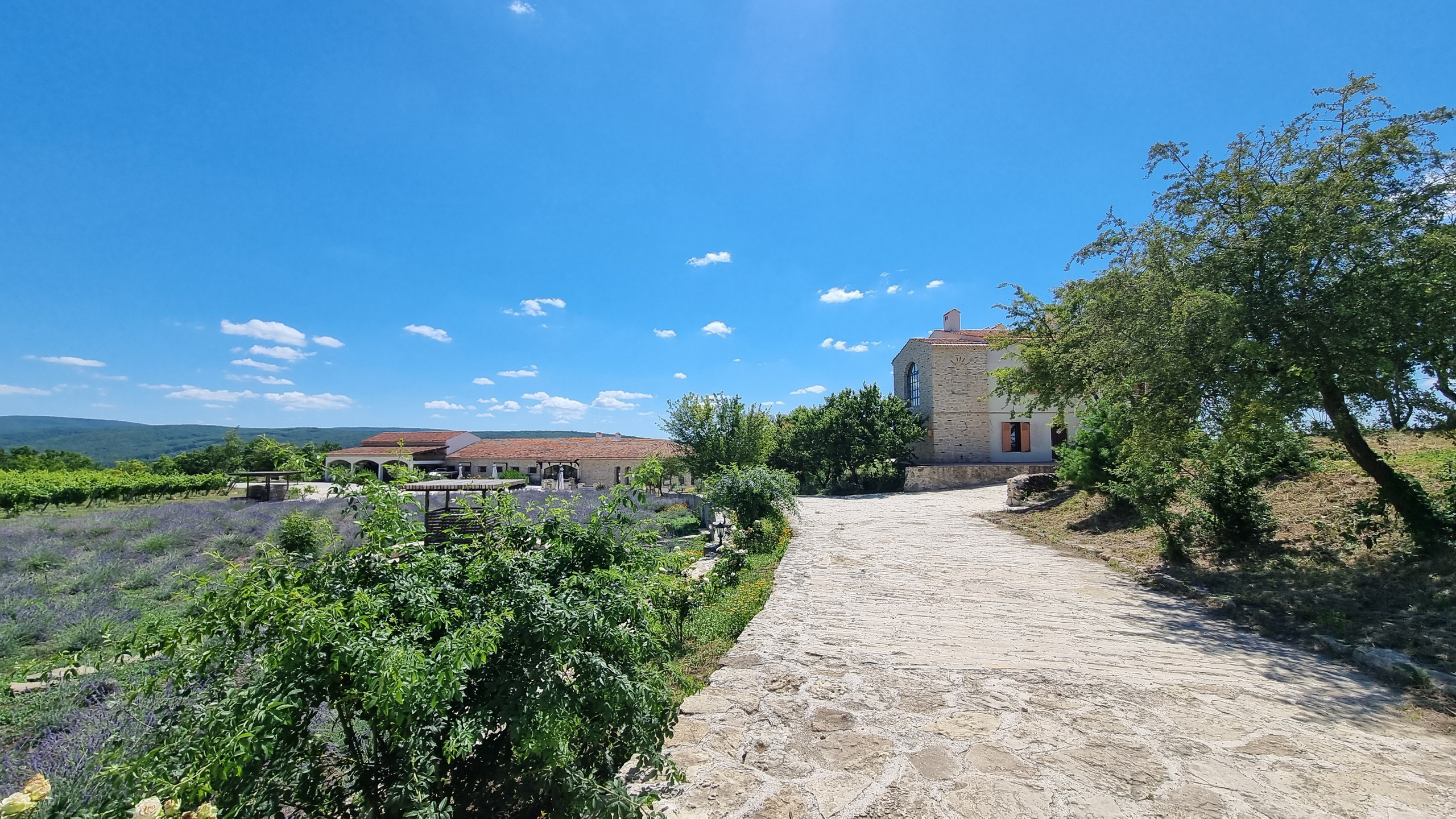 МЕСТА ДЛЯ ФОТОСЕССИИ В АНАПЕ. Свадебный и семейный фотограф/видеограф в Краснодаре Наталья Осинская