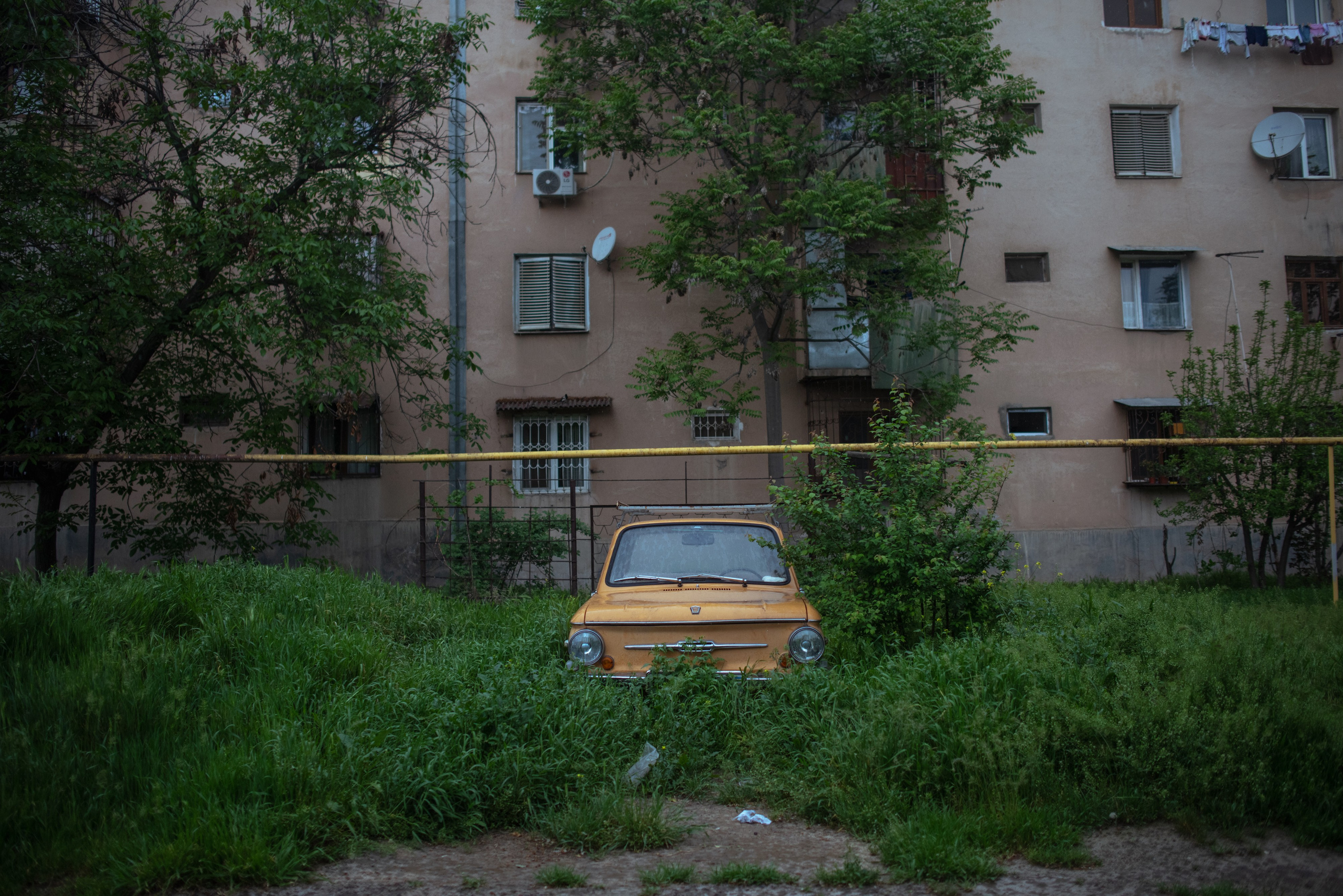 Репортажный, спортивный и документальный фотограф в Ташкенте Алексей Елисеев