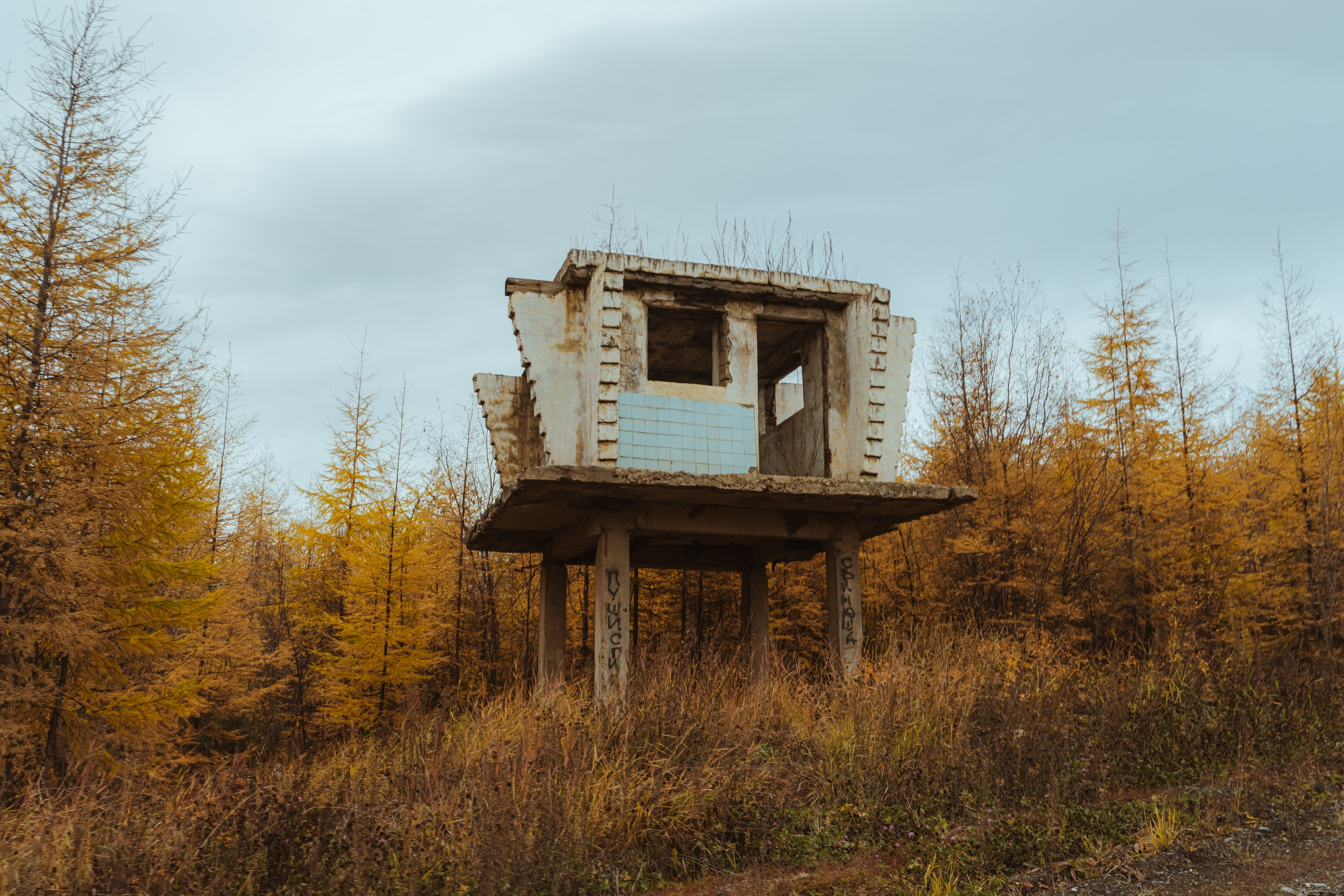 Город Солнца. Элина Гусарова