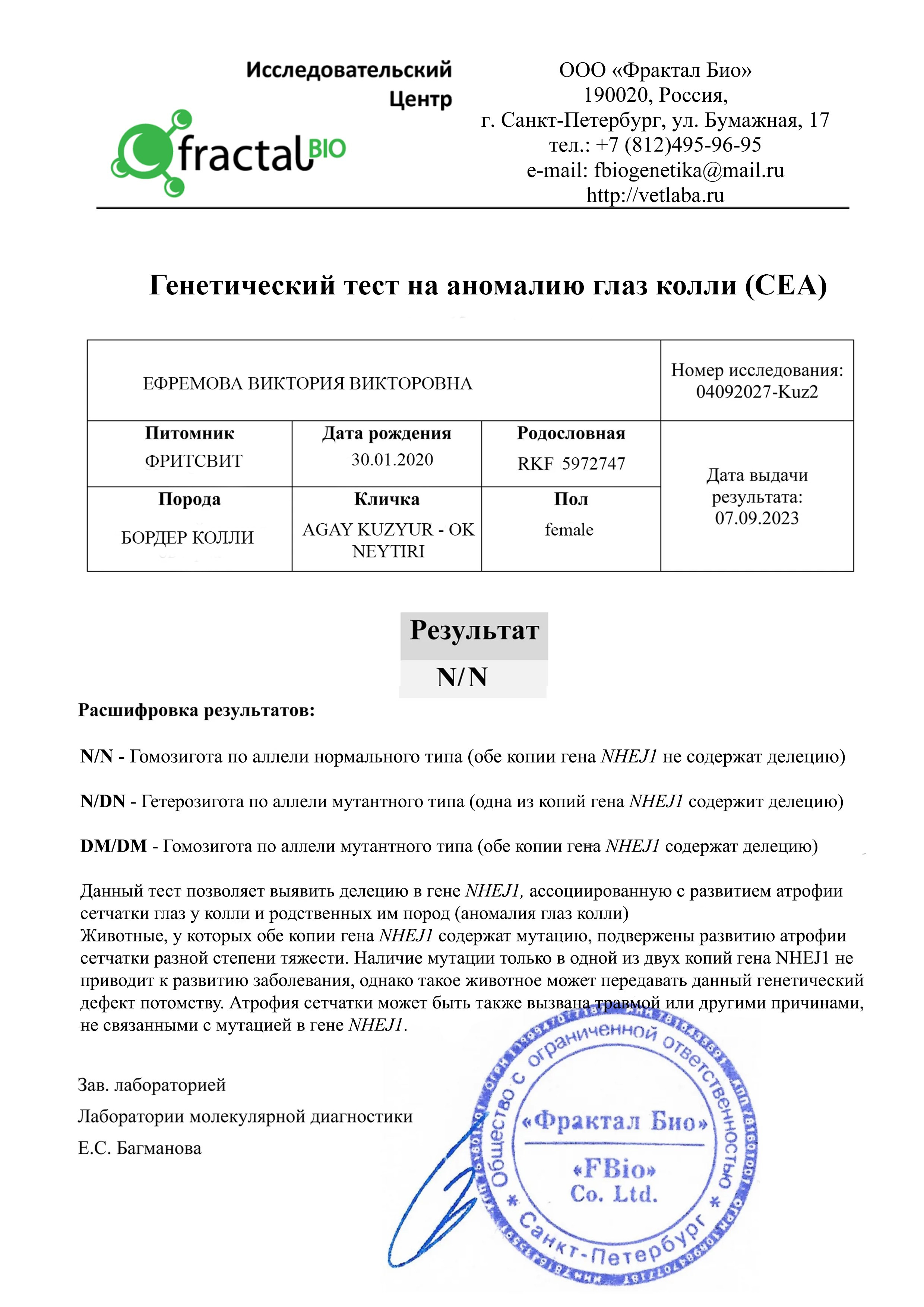 Наши Бордер колли