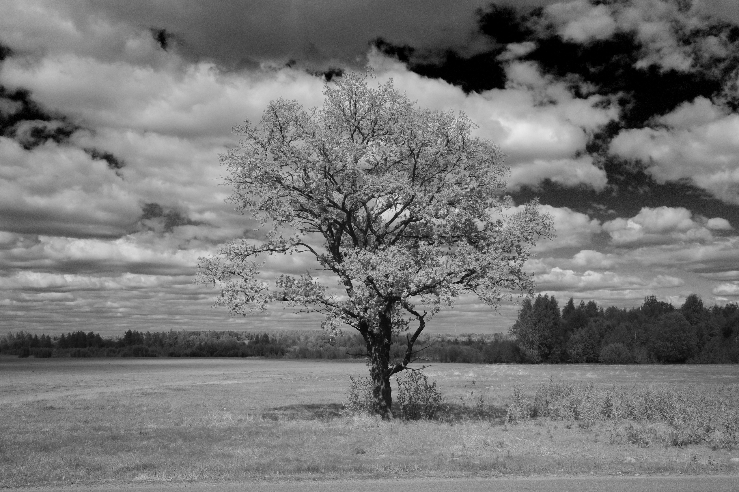 Круг жизни. Главная