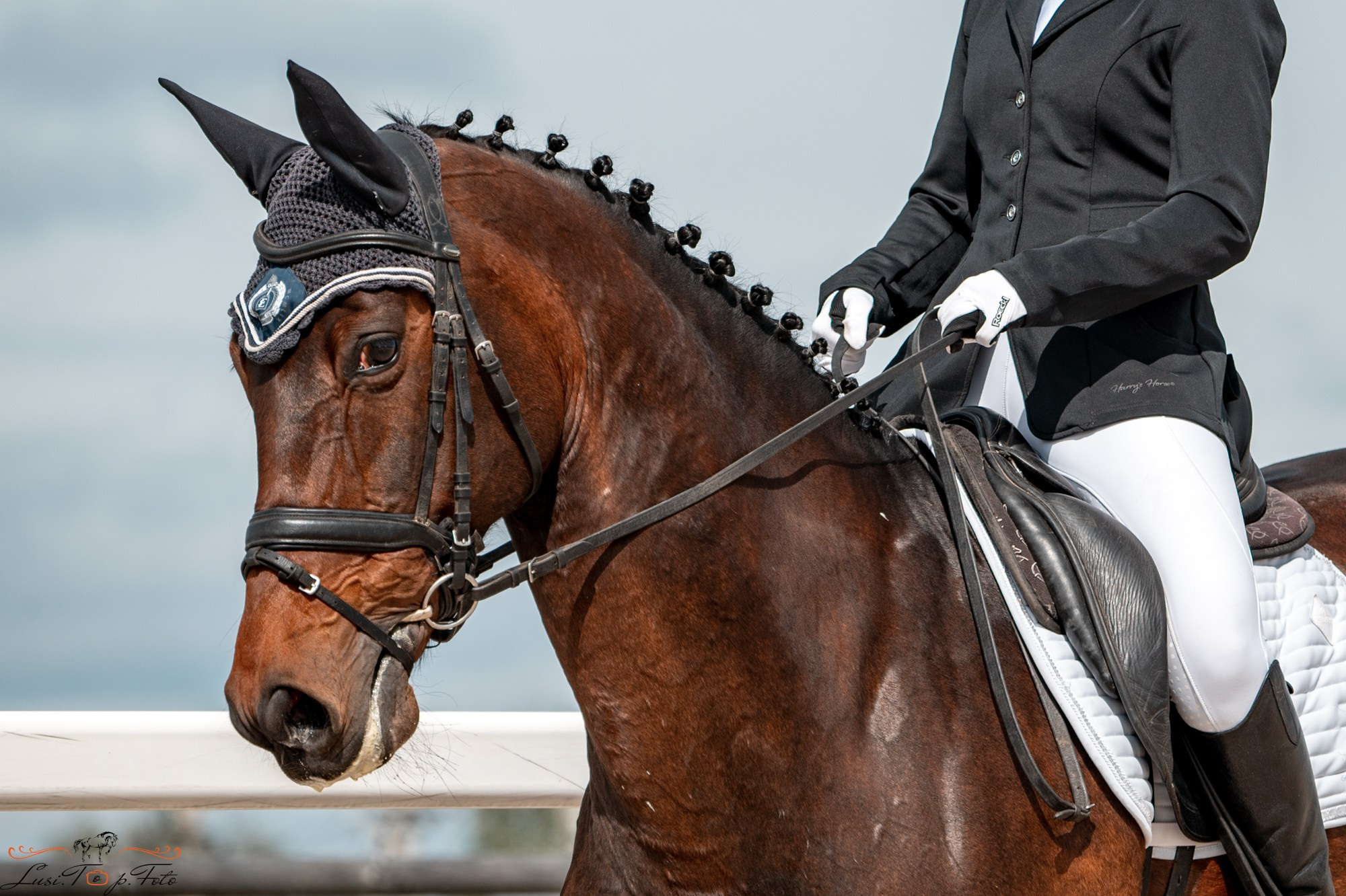 Кубок Победы конного Клуба EQUIPARK по выездке. Конный и фотограф с животными в Твери Топталова Люся