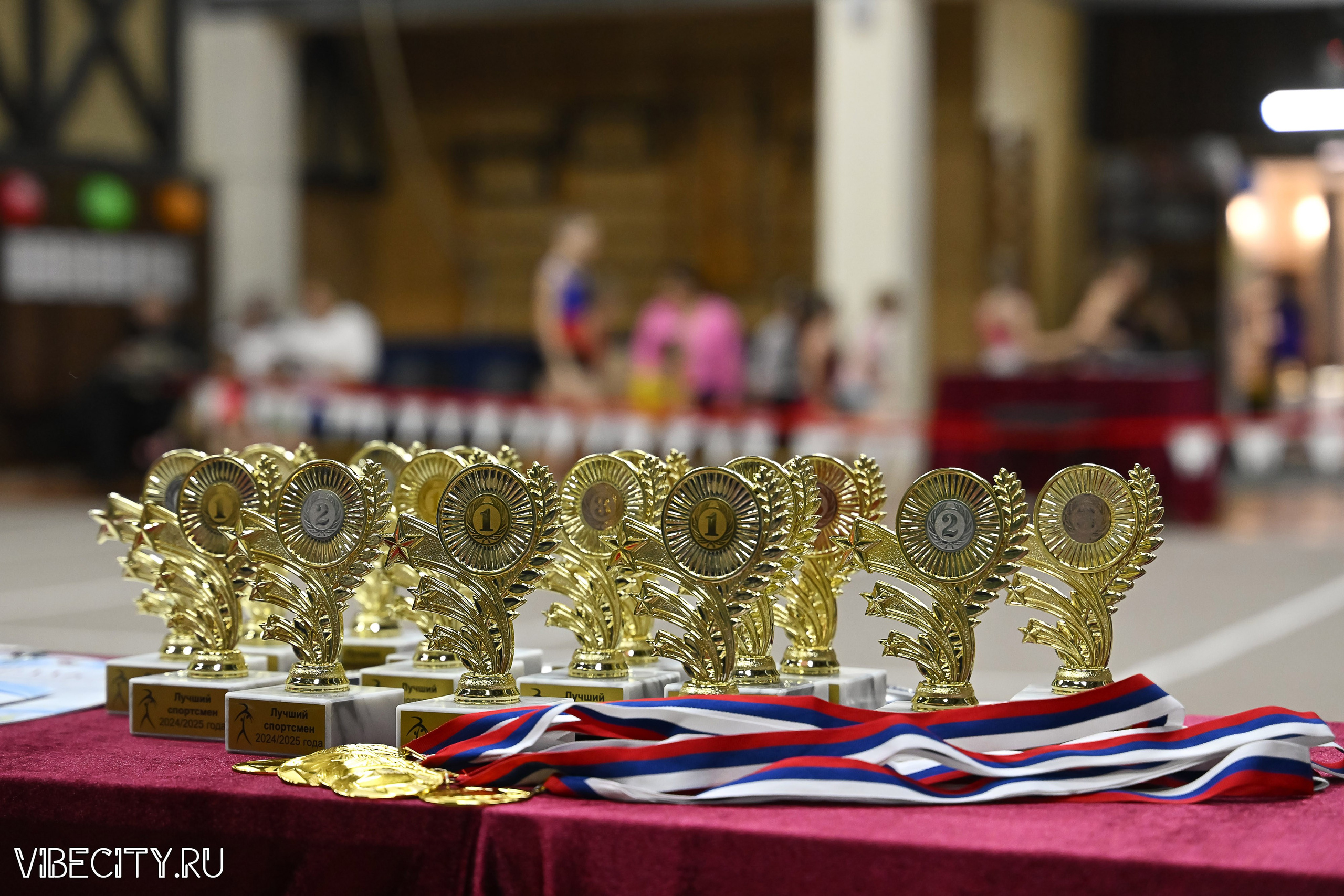 Контрольная тренировка по спортивной гимнастике. VIBECITY.RU Вайб Сити Ру Фоторепортажи Фотоотчеты Калининград