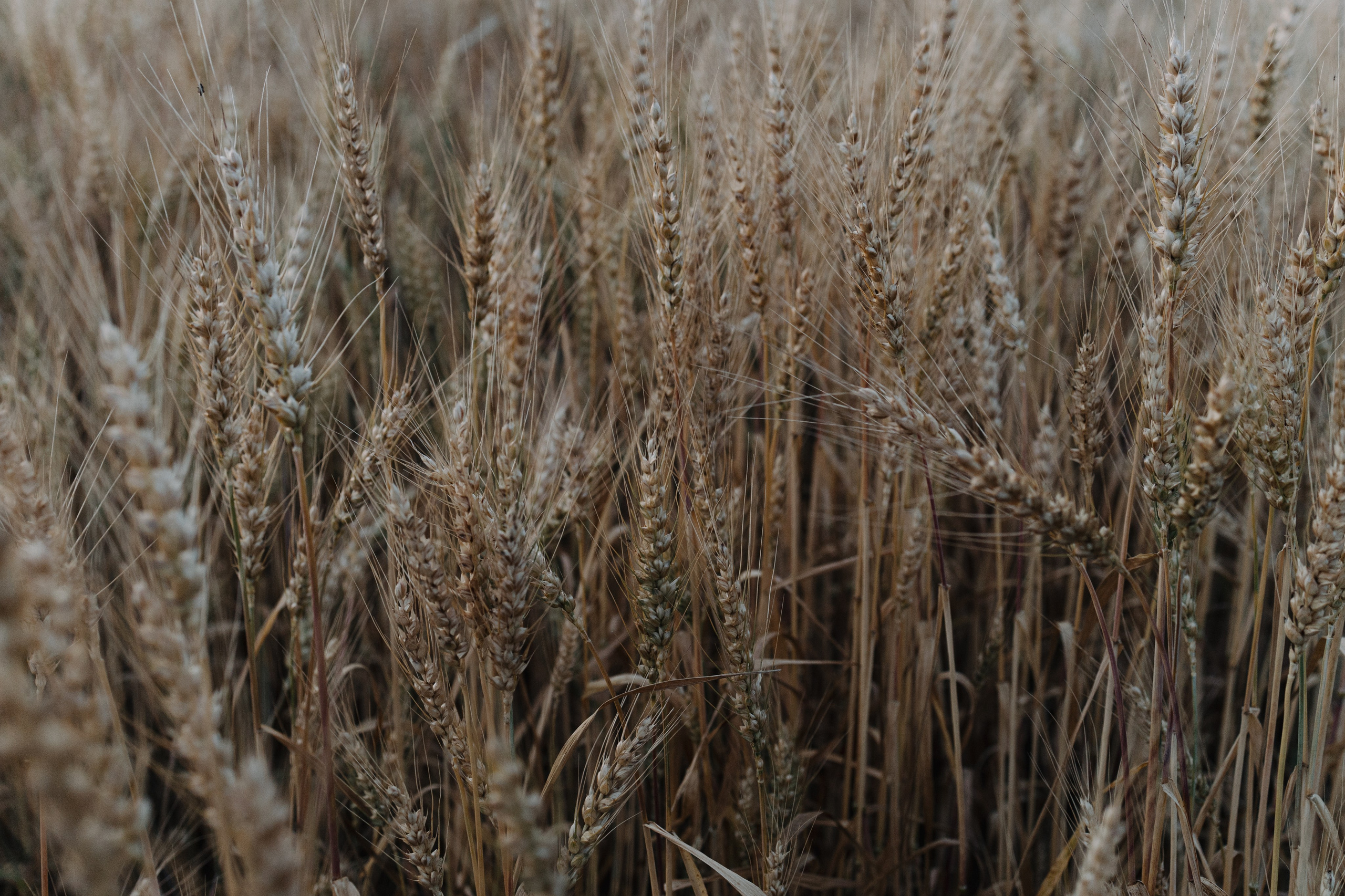 За городом. Про любовь