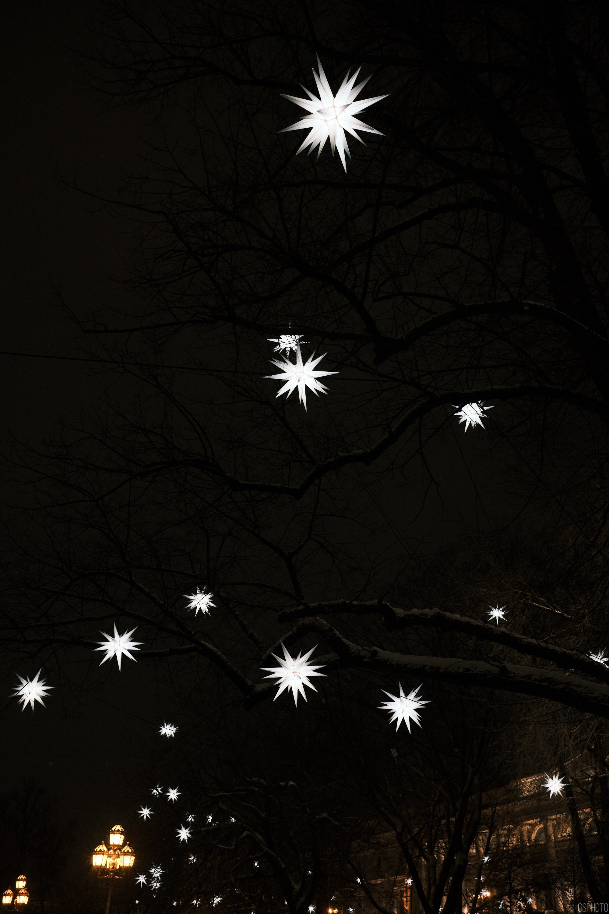 Снег и туман в Санкт-Петербурге. Фотографъ Сергѣевъ. Поймать мгновеніе