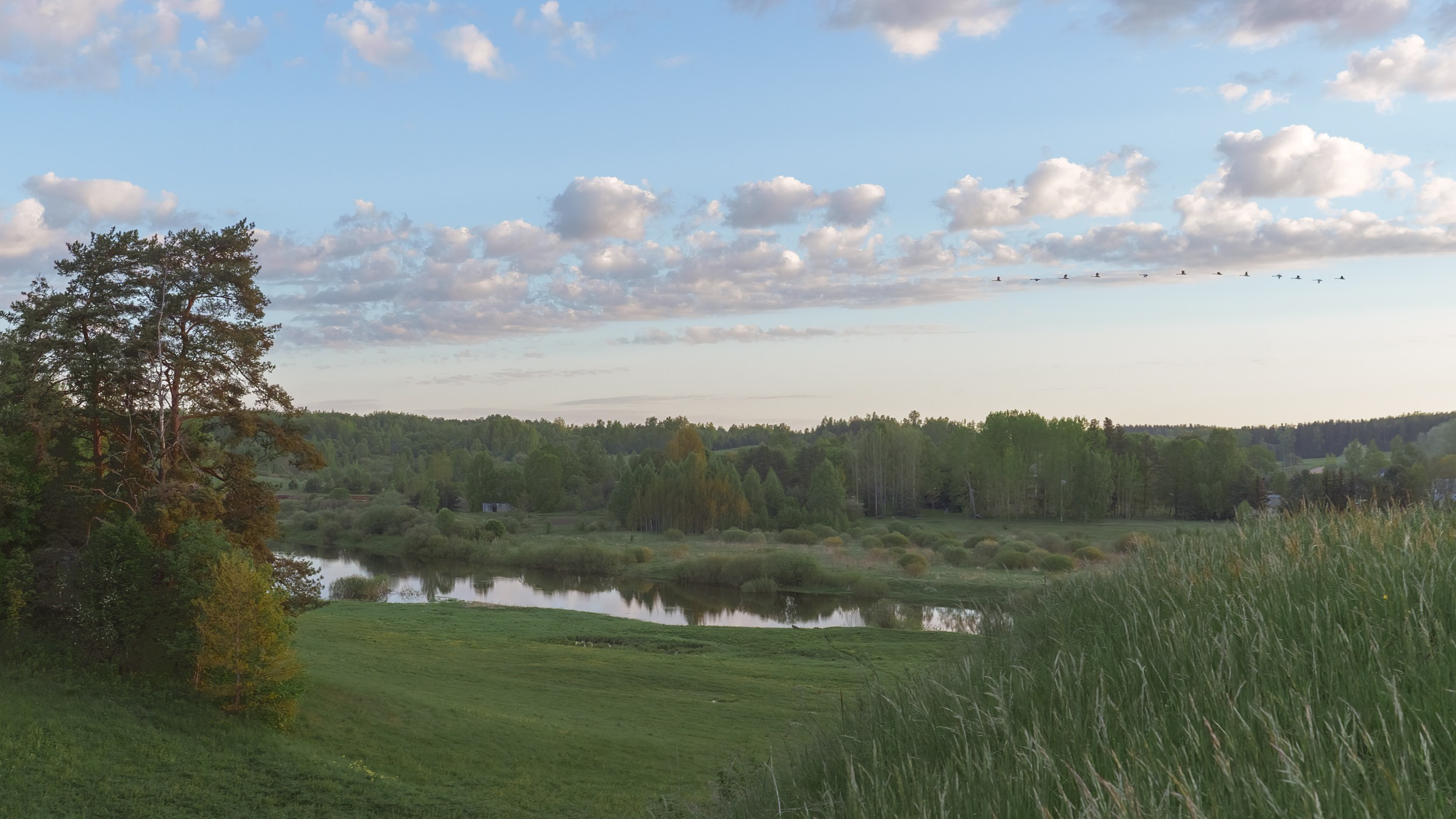 A flock of swans over the Sorot River