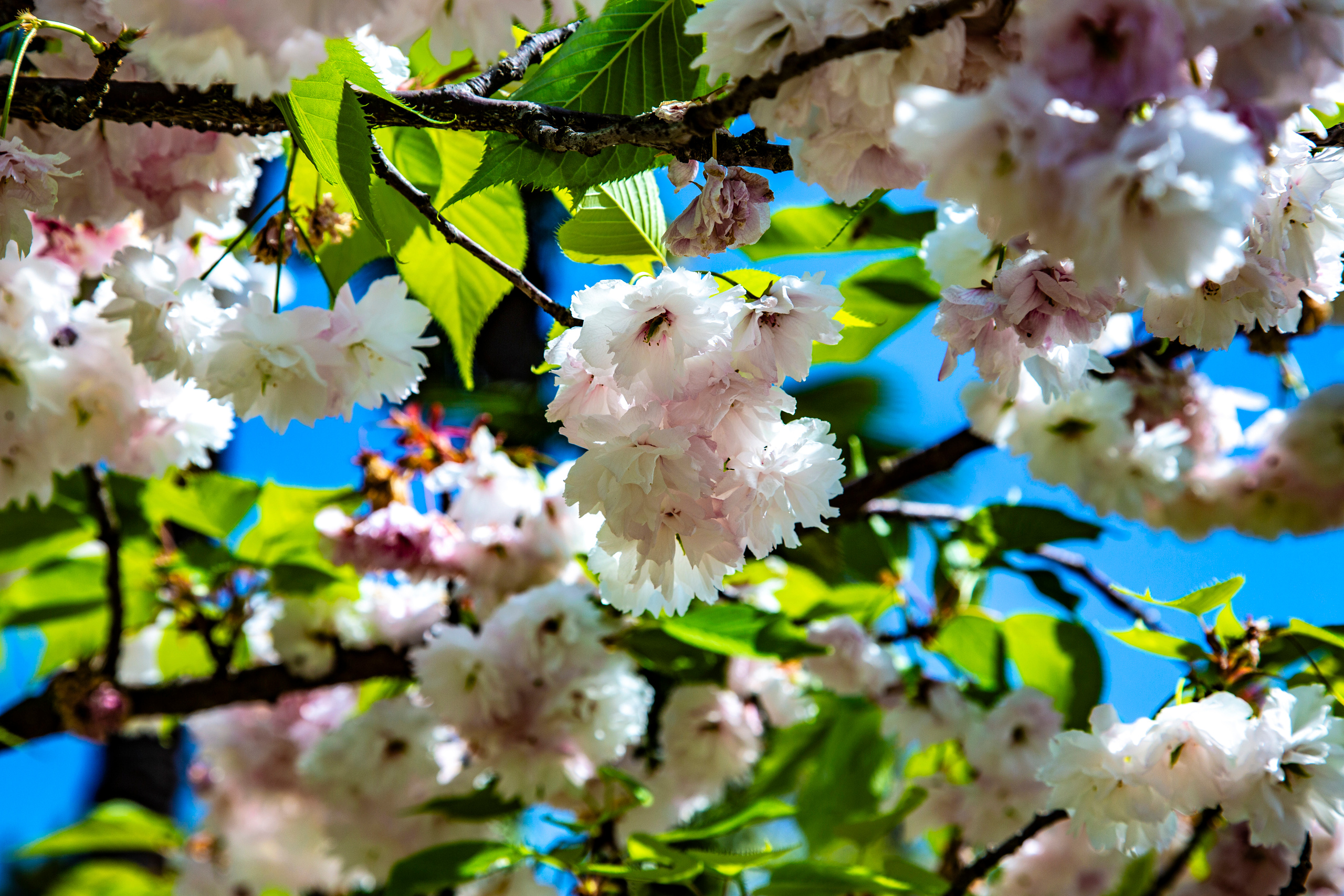 Контакты. Фотограф в Сочи Юрий Шептаев