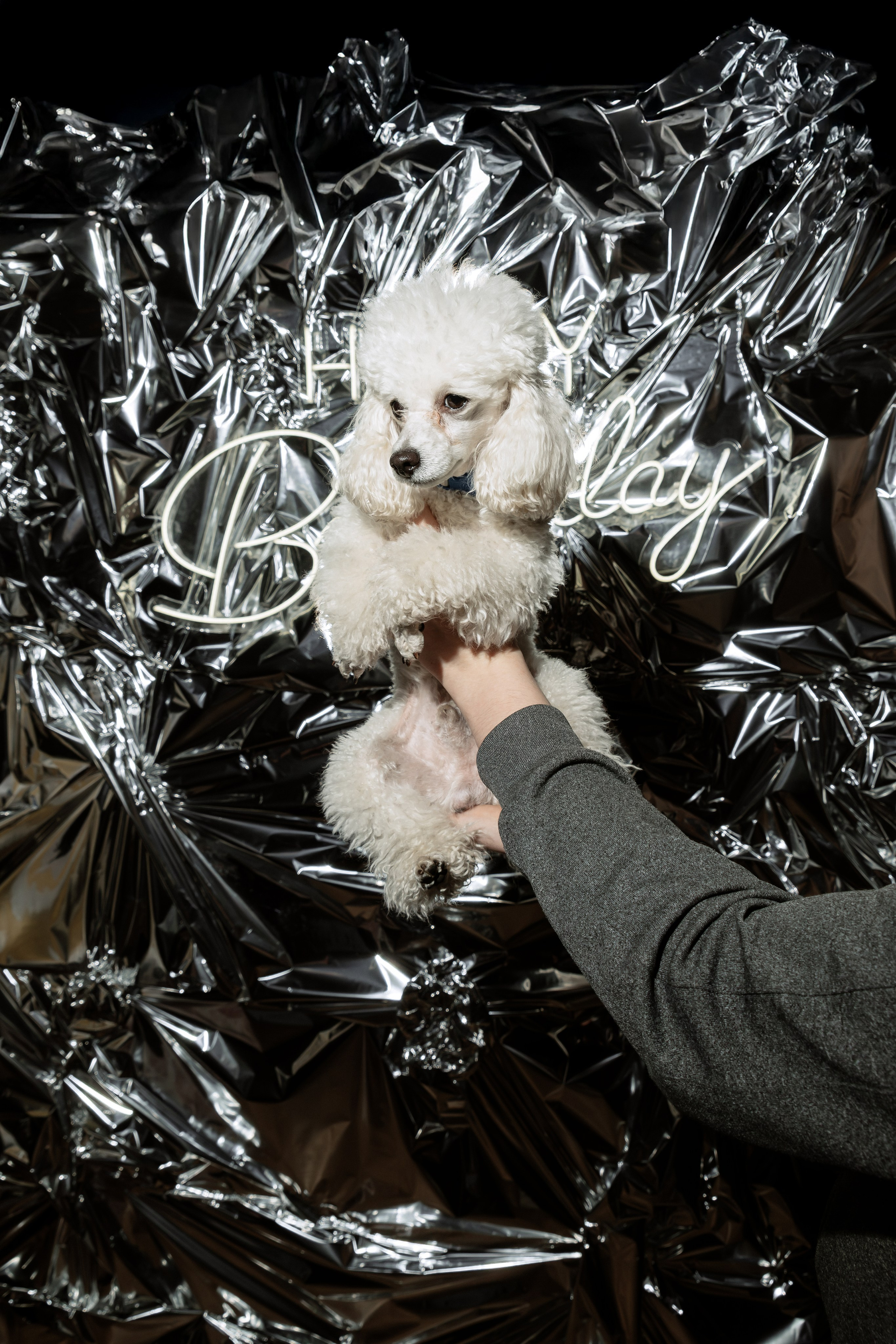 Репортажный фотограф | Константин Жуйков | Stifty. Фотограф Константин Жуйков