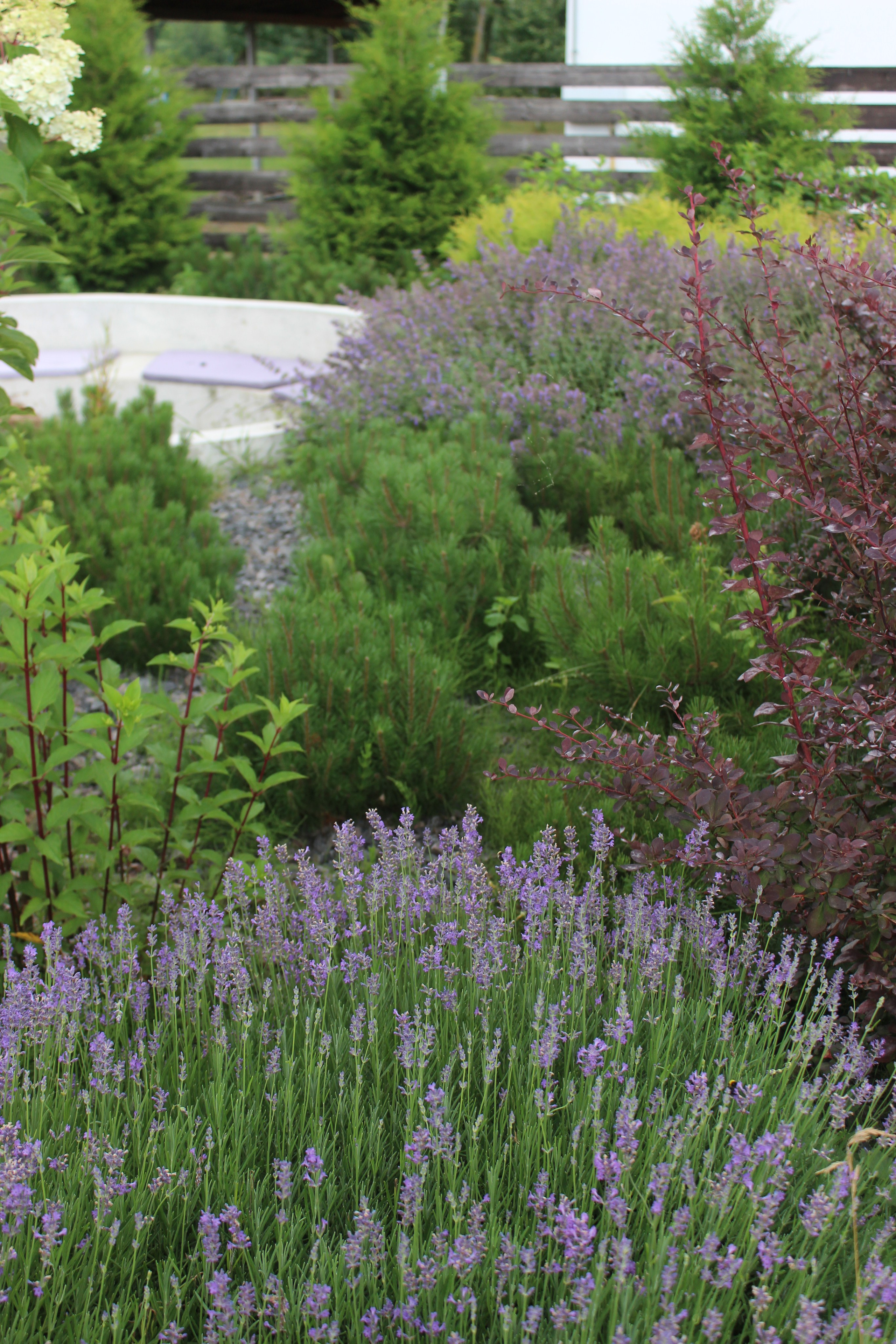 GARDEN IN R. LA. Ландшафтный дизайн в Минске и Гродно