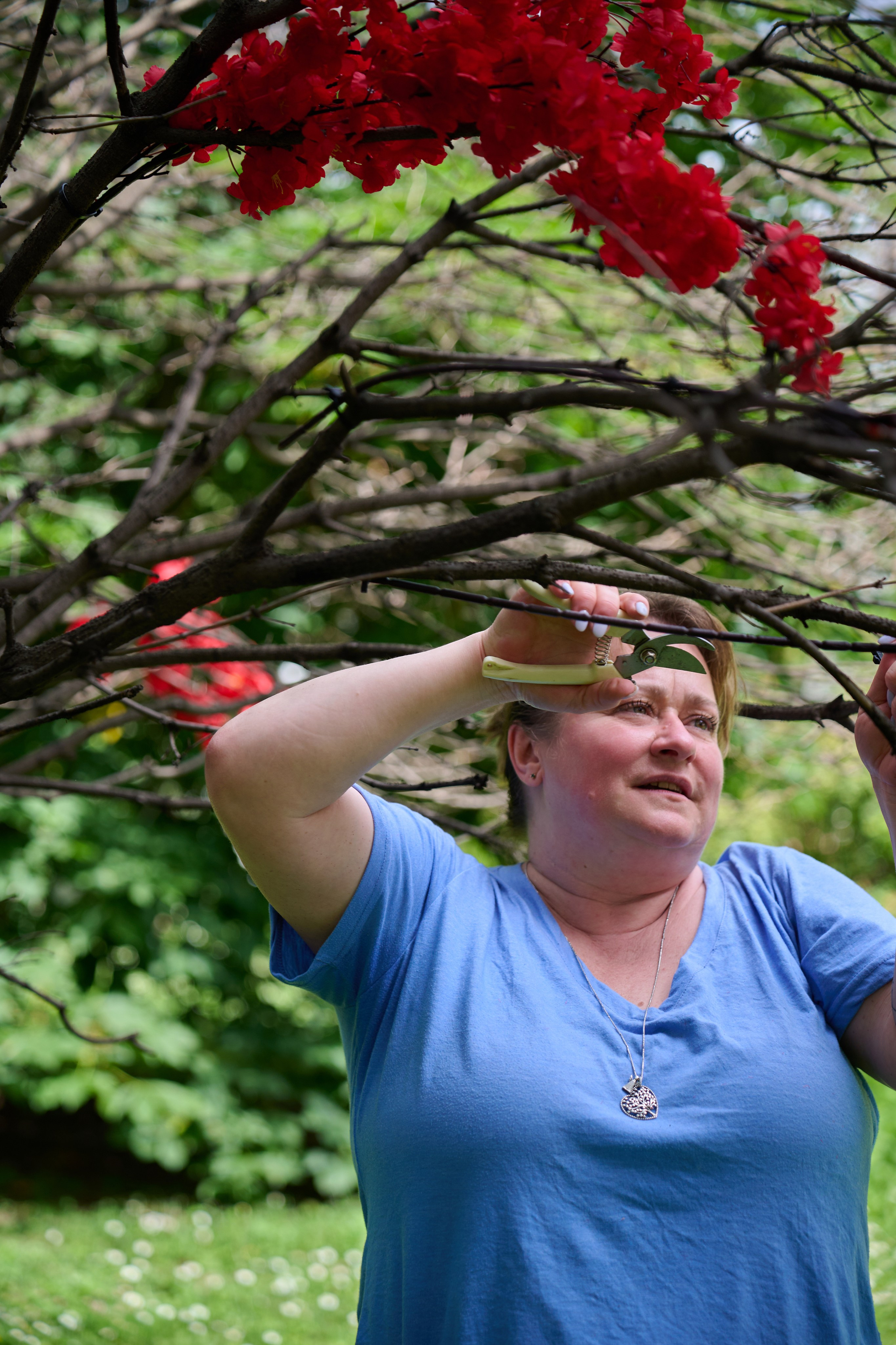 Накануне праздника китайских мучеников. Фотограф в Москве