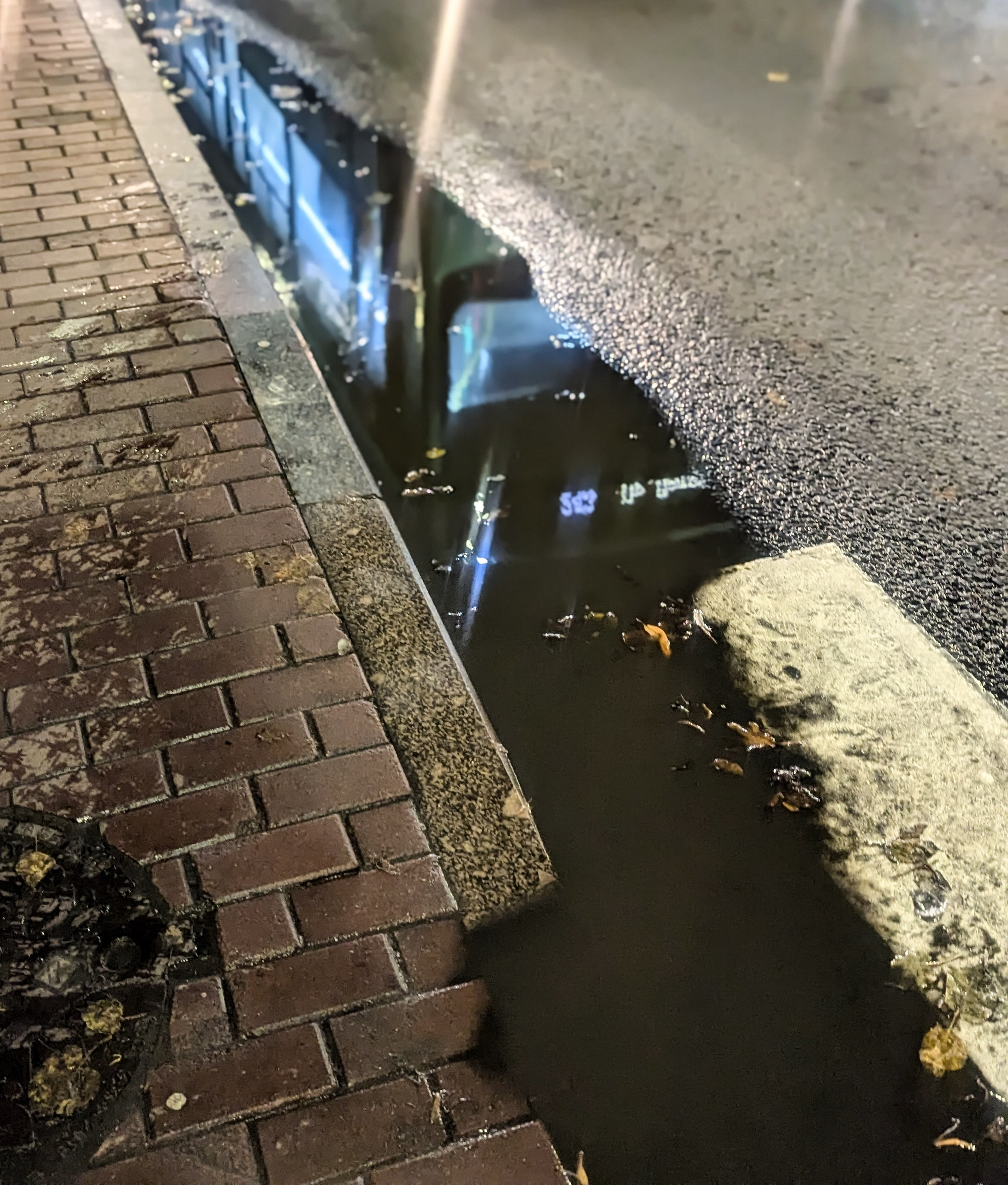 Мир вокруг: мобильная фотография — быстрая композиция. Любовь Каширская — фотограф для малого бизнеса и специалистов