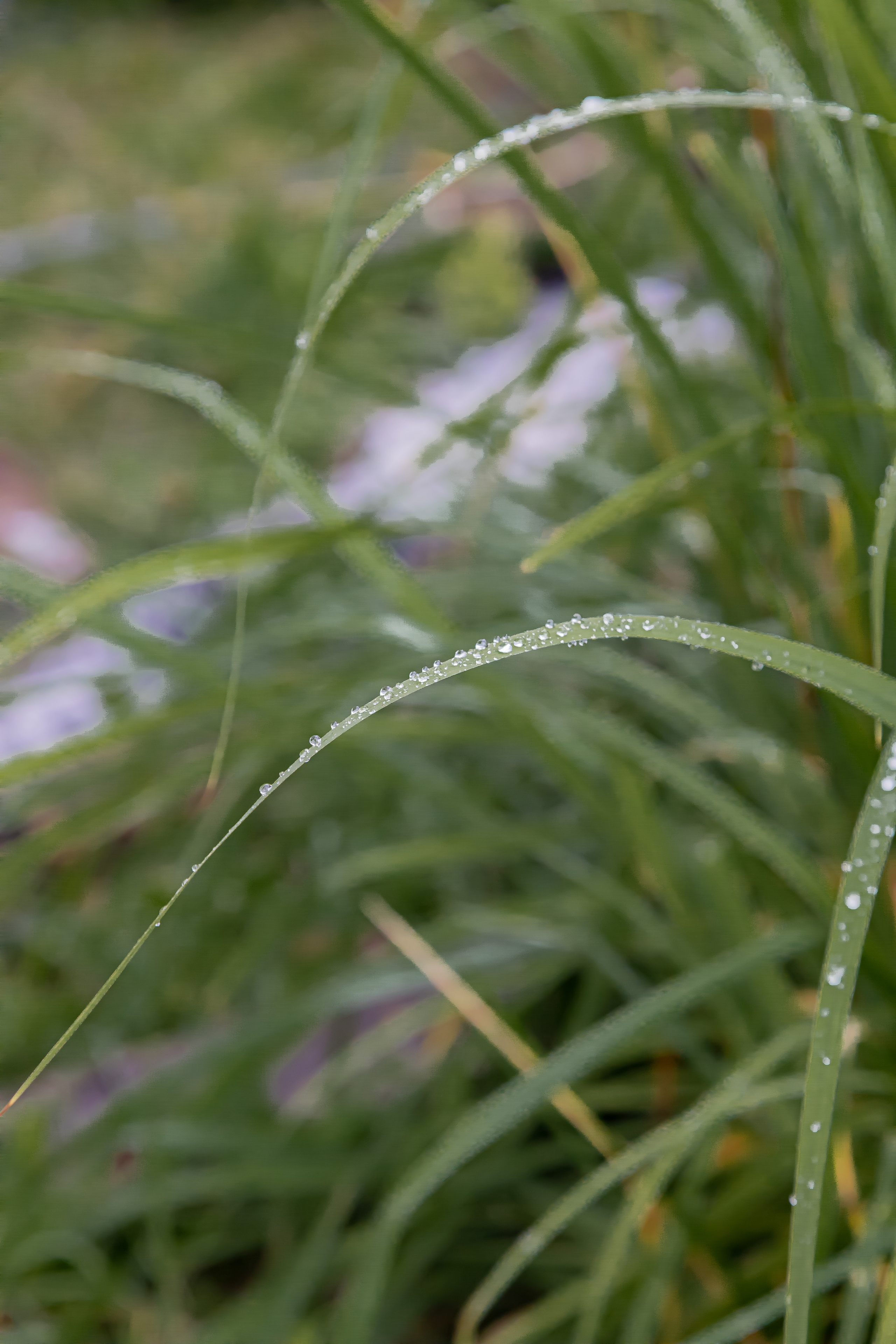 Атмосферная натурная фотография. Любовь Каширская — фотограф для малого бизнеса и специалистов