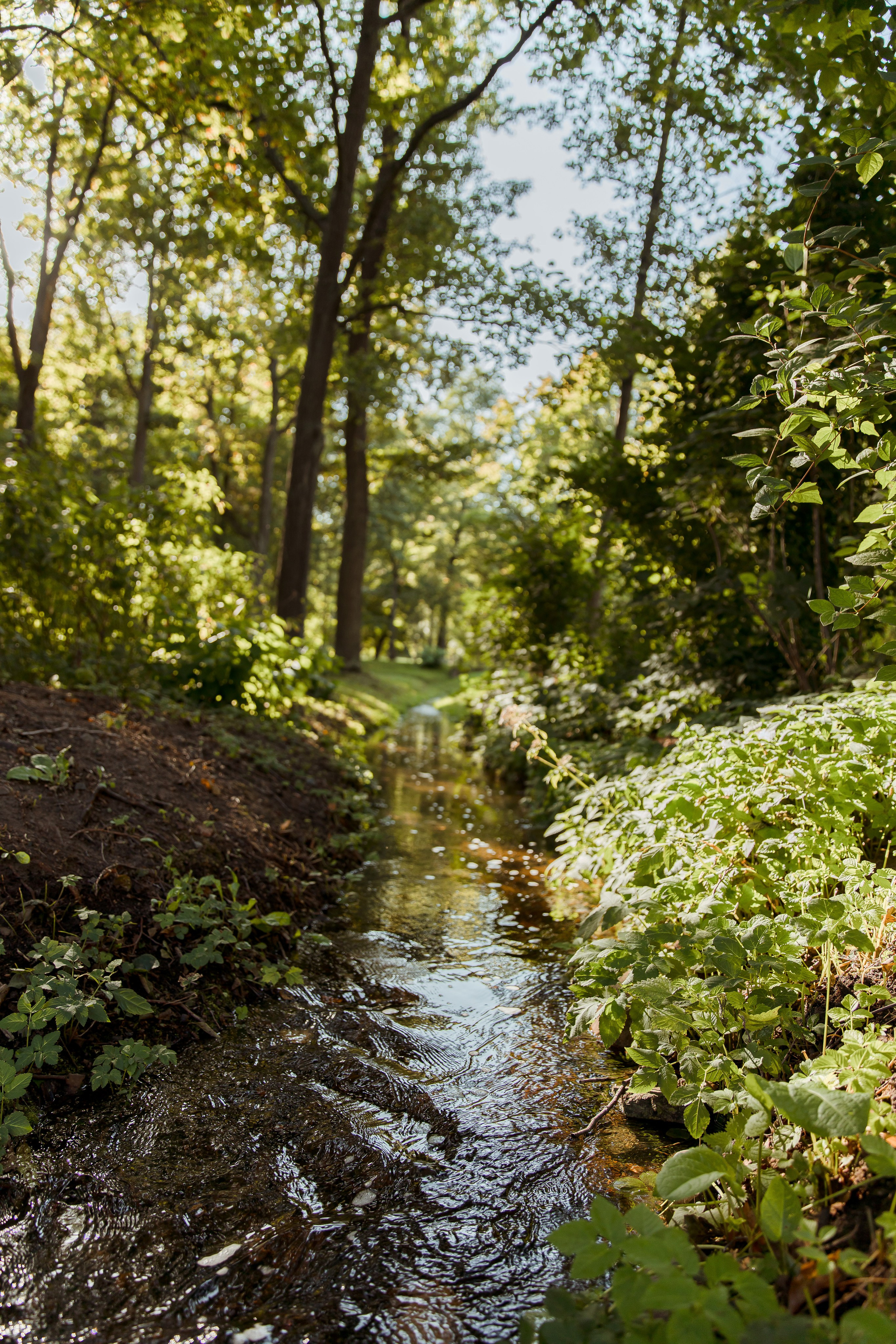 Санкт-Петербург, Питергоф осень 2023. Семейный и детский фотограф в Железногорске Саламахо Ольга