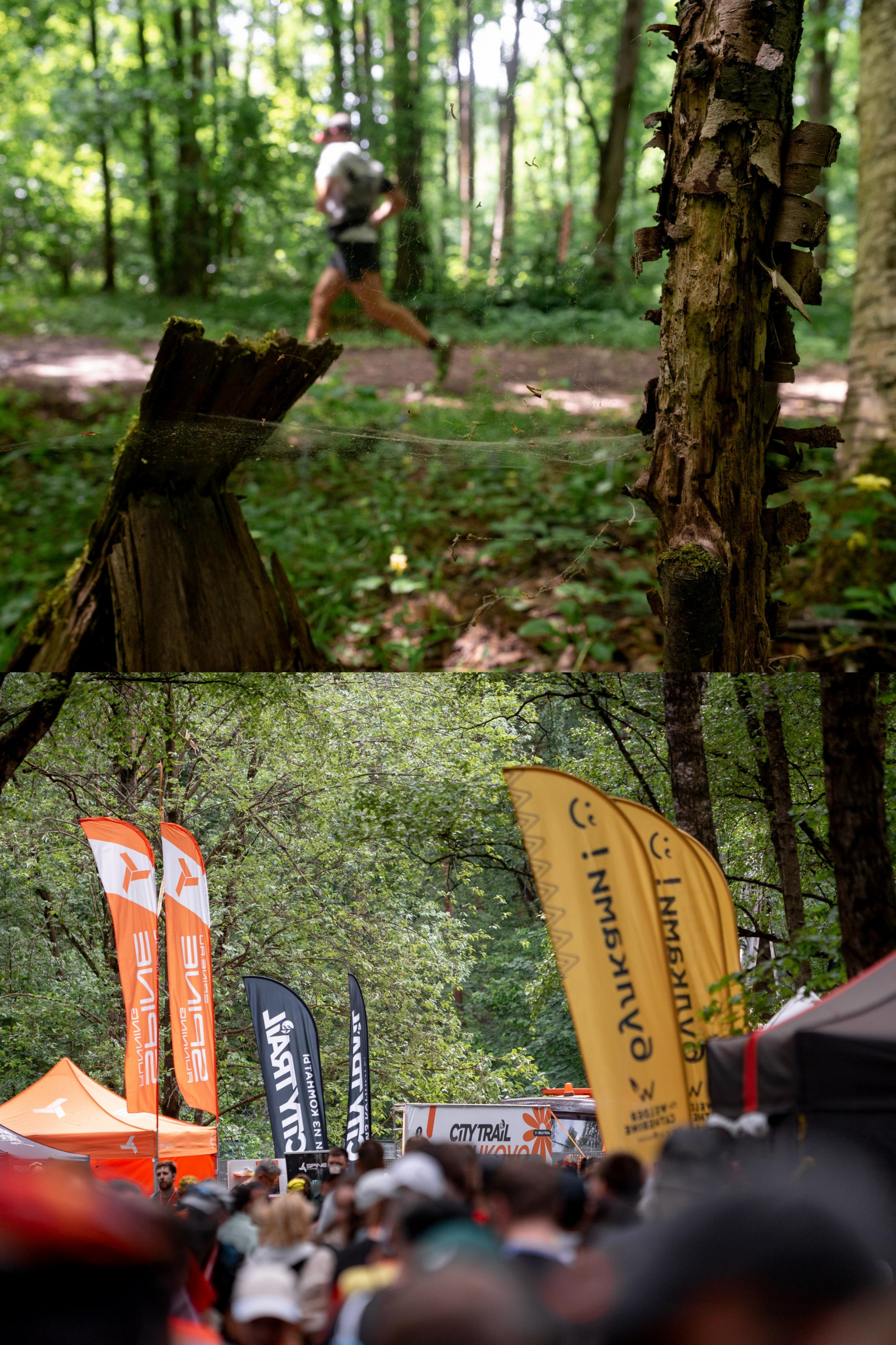 CityTrail Ромашково