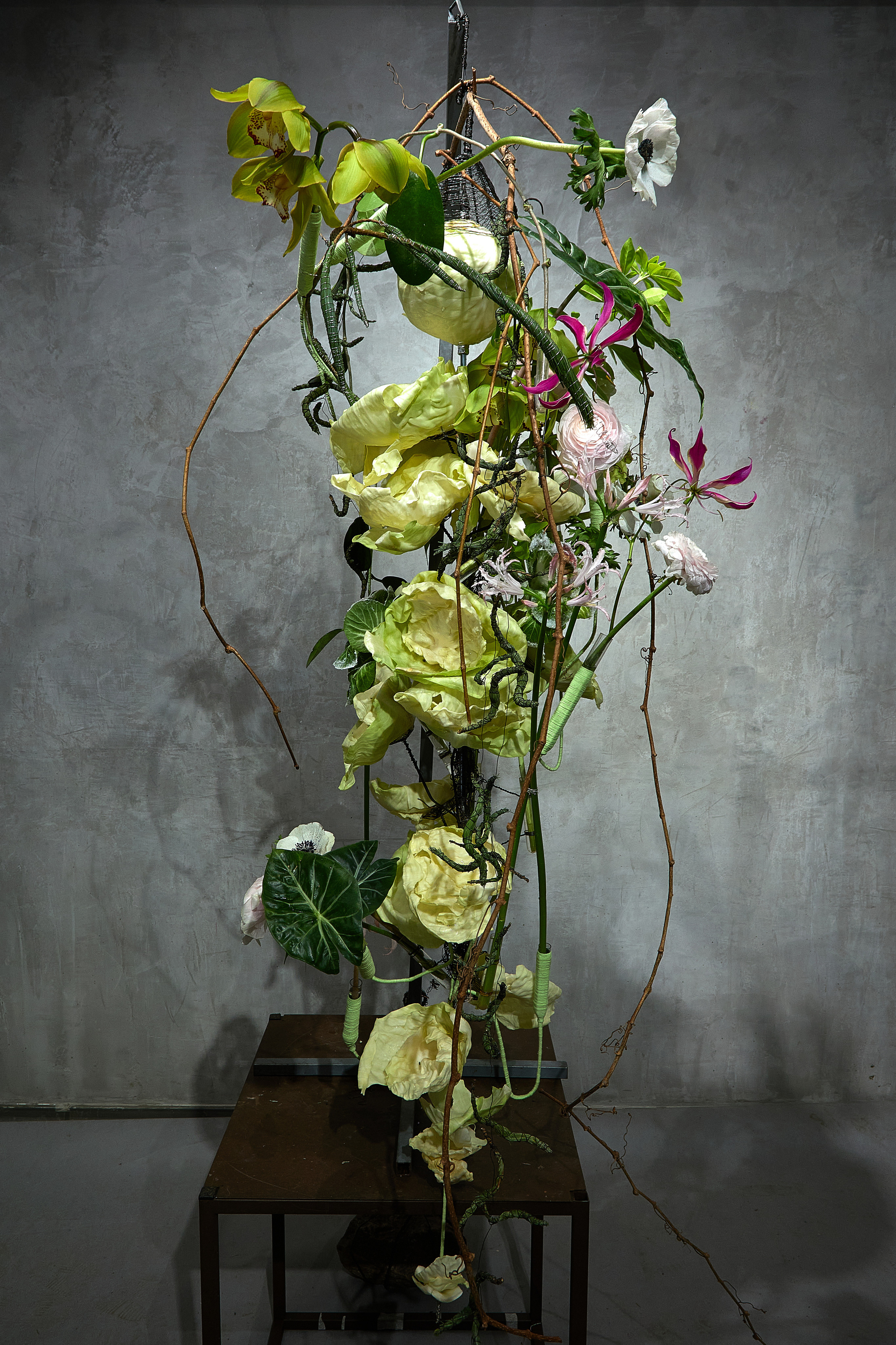 Большая глина № 4 и флористика. Maria Poleshchuk, commercial photographer in Sydney