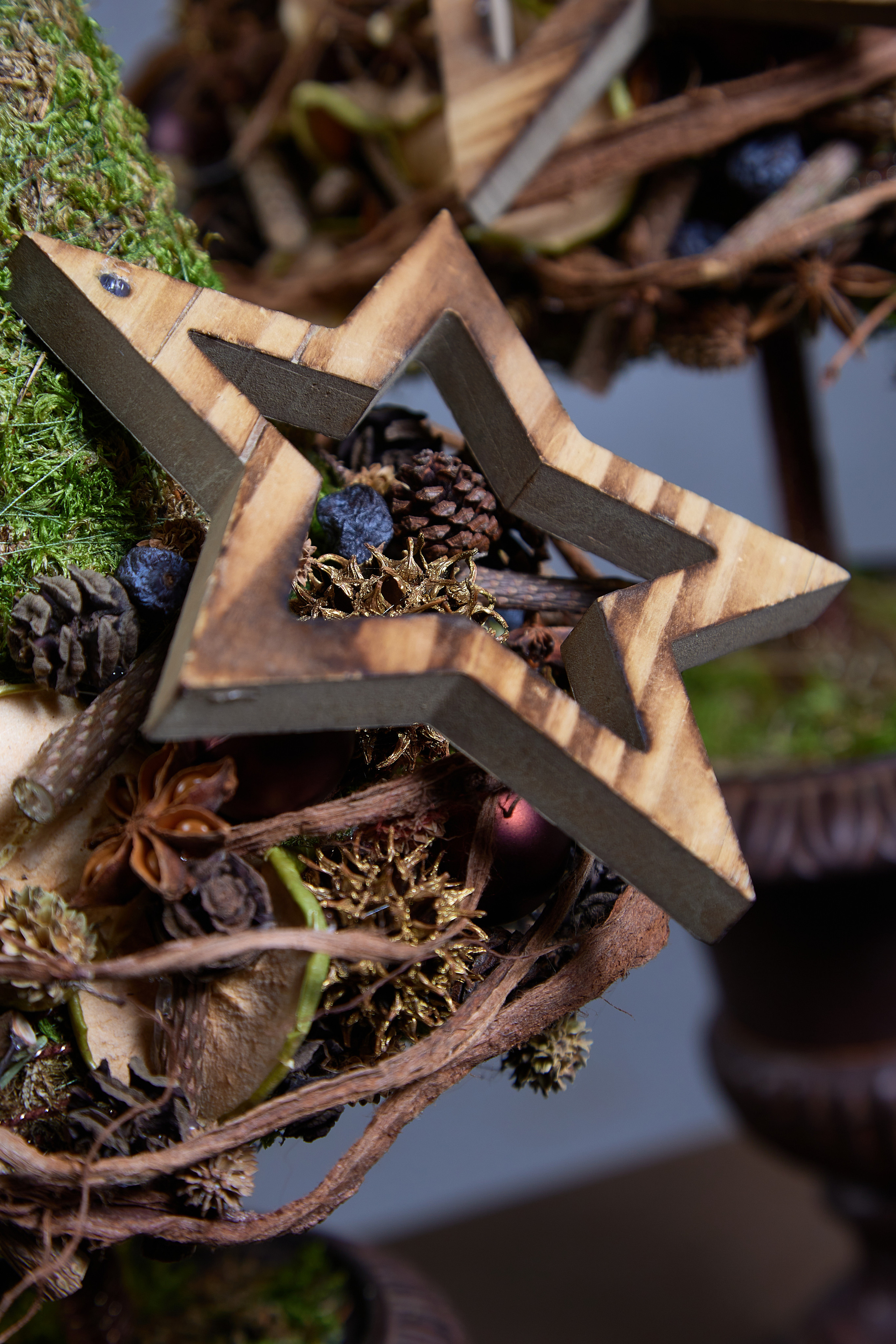 Xmass trees by Andrey Filonenko. Maria Poleshchuk, commercial photographer in Sydney